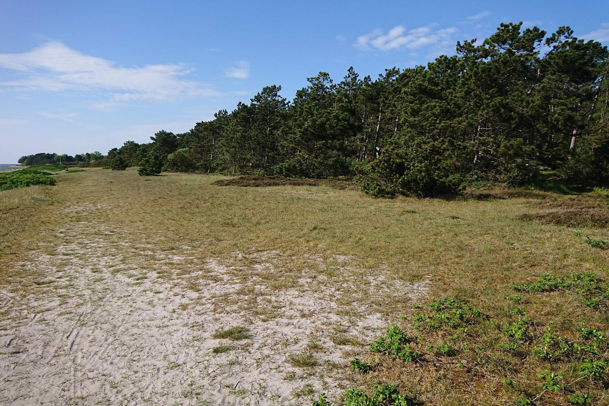 6 persoons vakantie huis in Jægerspris-Niet-getagd