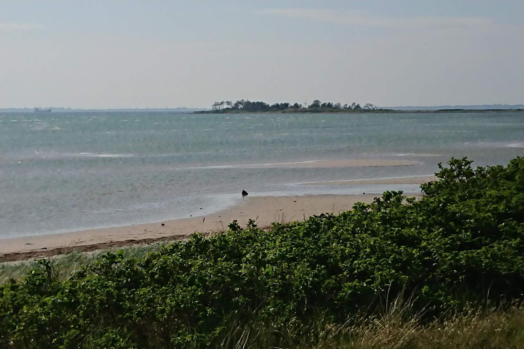 Maison de vacances pour 6 a Jægerspris - Vue sur l'eau