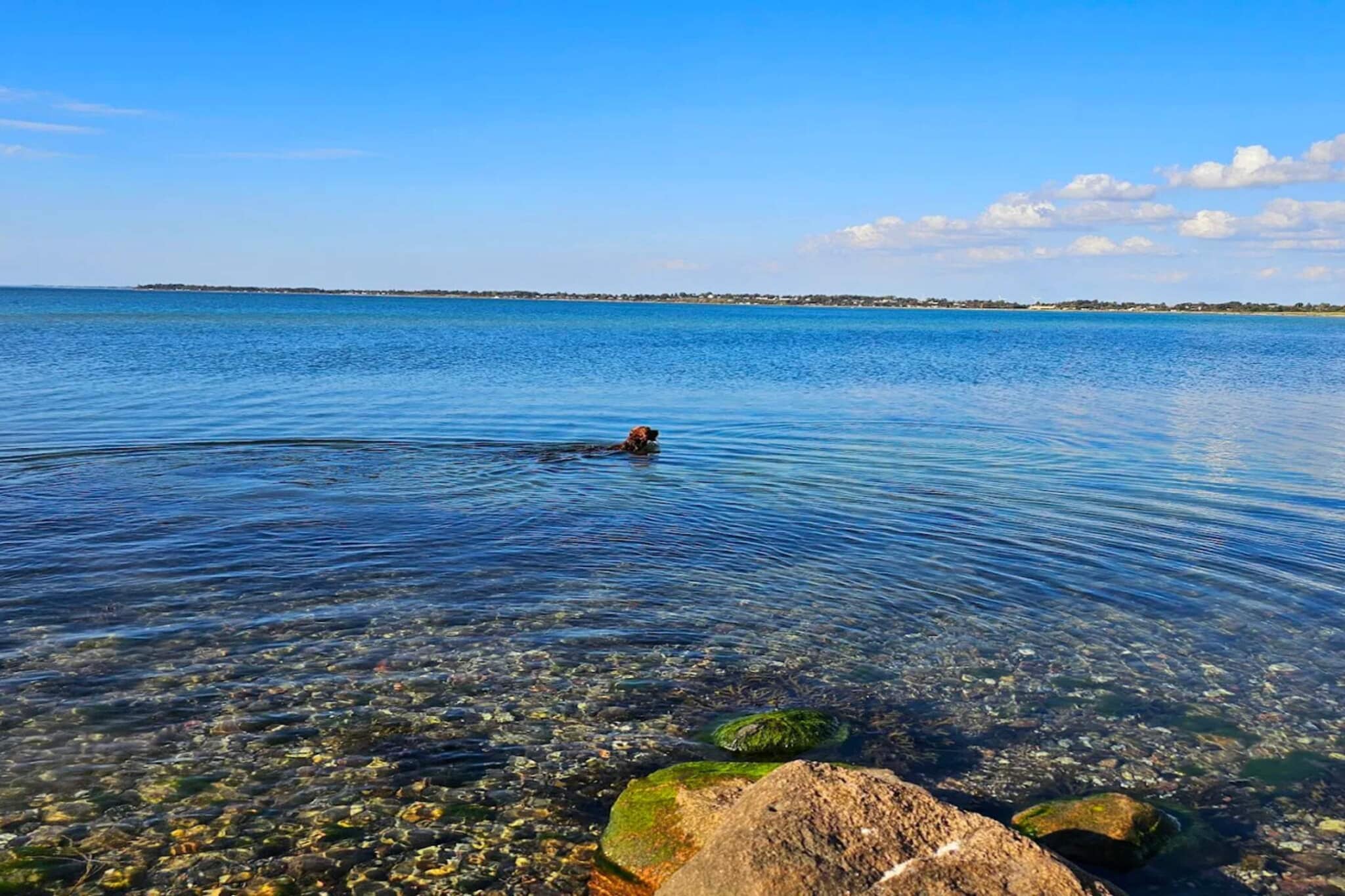 Maison de vacances pour 6 a Korsør