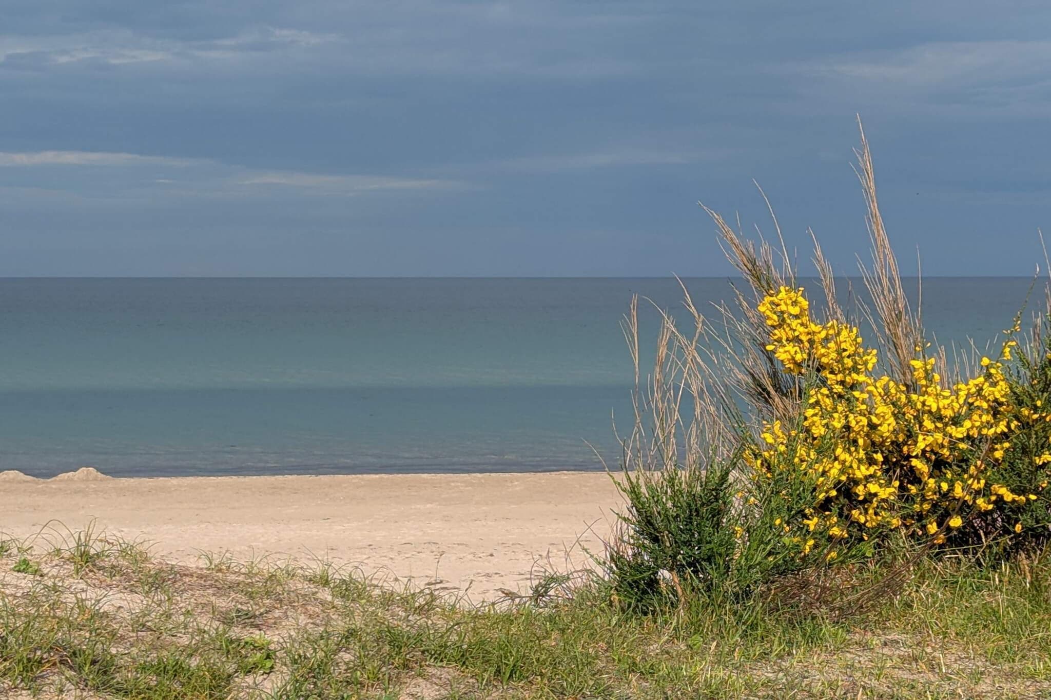 Maison de vacances pour 8 a Væggerløse