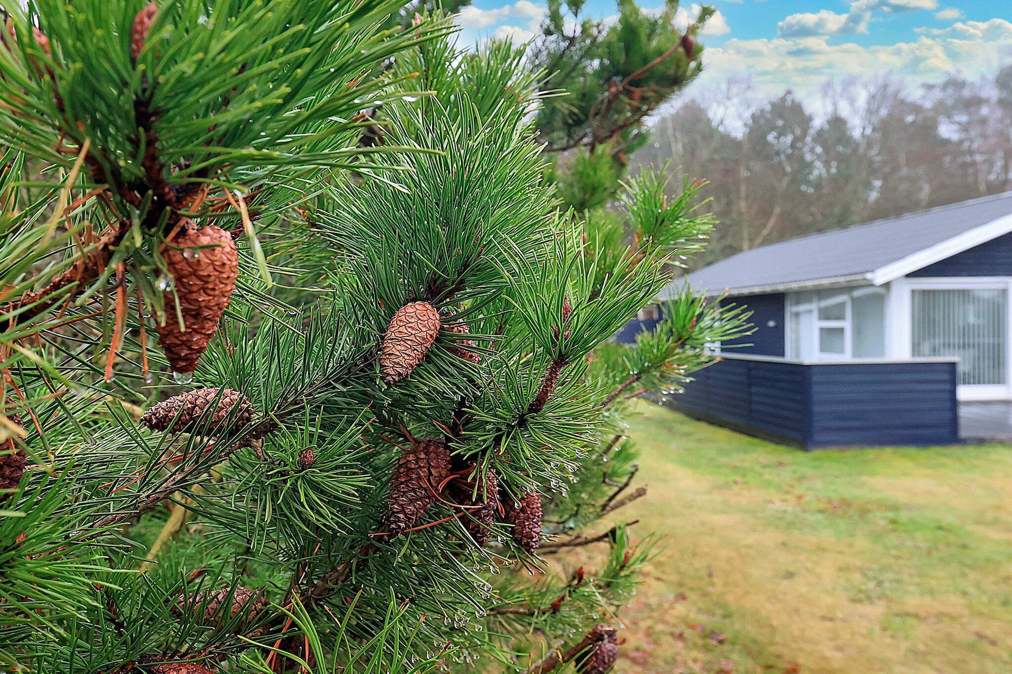 Annex: (double bed, washbasin, toilet(reachable from the outside))\n\nInternet Access DSL, open kitchen(cooker(electric), coffee machine, dishwasher, fridge-freezer), Living/bed room(TV, radio), bedroom(double bed), bedroom(double bed), bathroom(floor heating)(bathtub or shower, washbasin, toilet, washing machine), bathroom(washbasin, toilet), heating(electric), terrace, BBQ, air to air heatpump