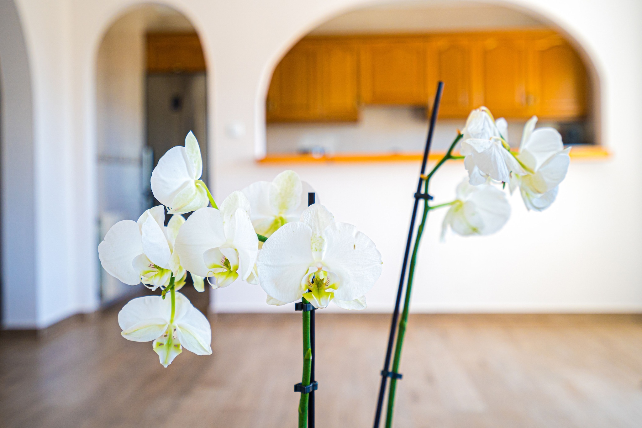 Villa en l´Almassara - Ambiente