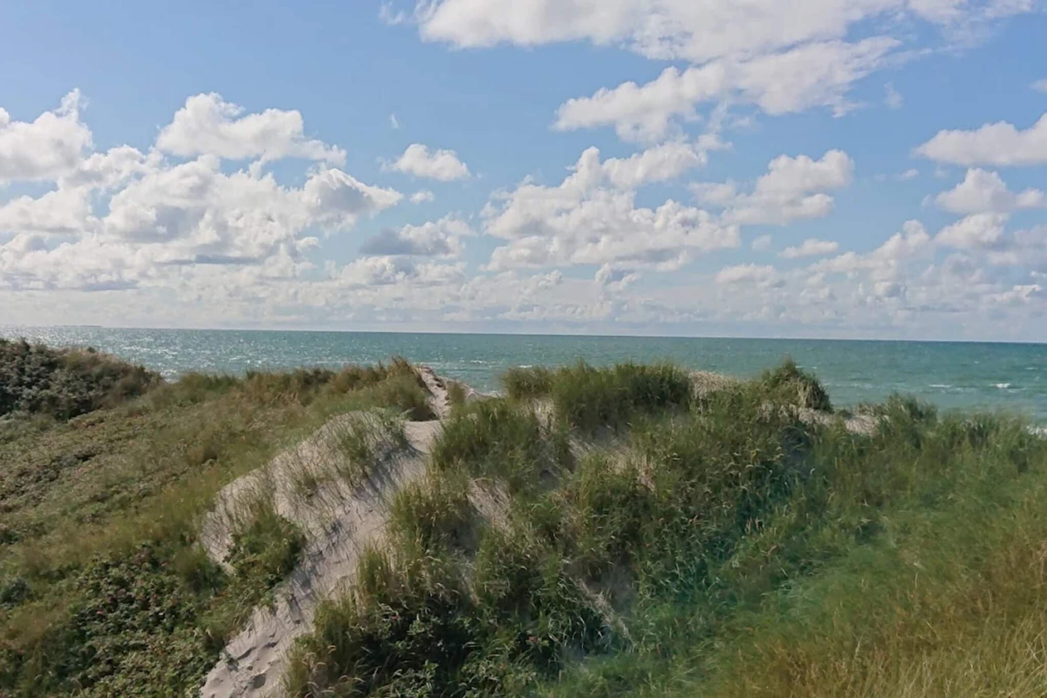 7 persoons vakantie huis in Blokhus-Waterzicht