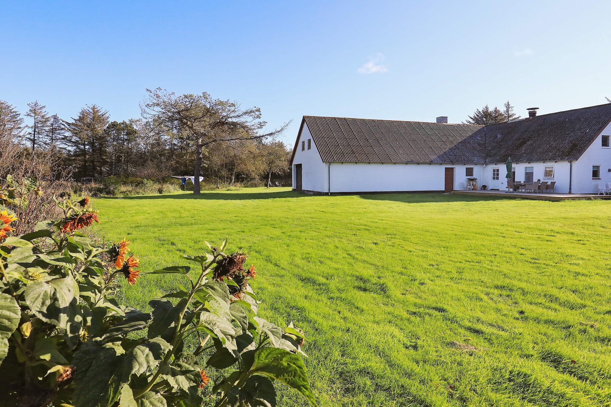 Maison de vacances pour 4 a Hjørring - Vue