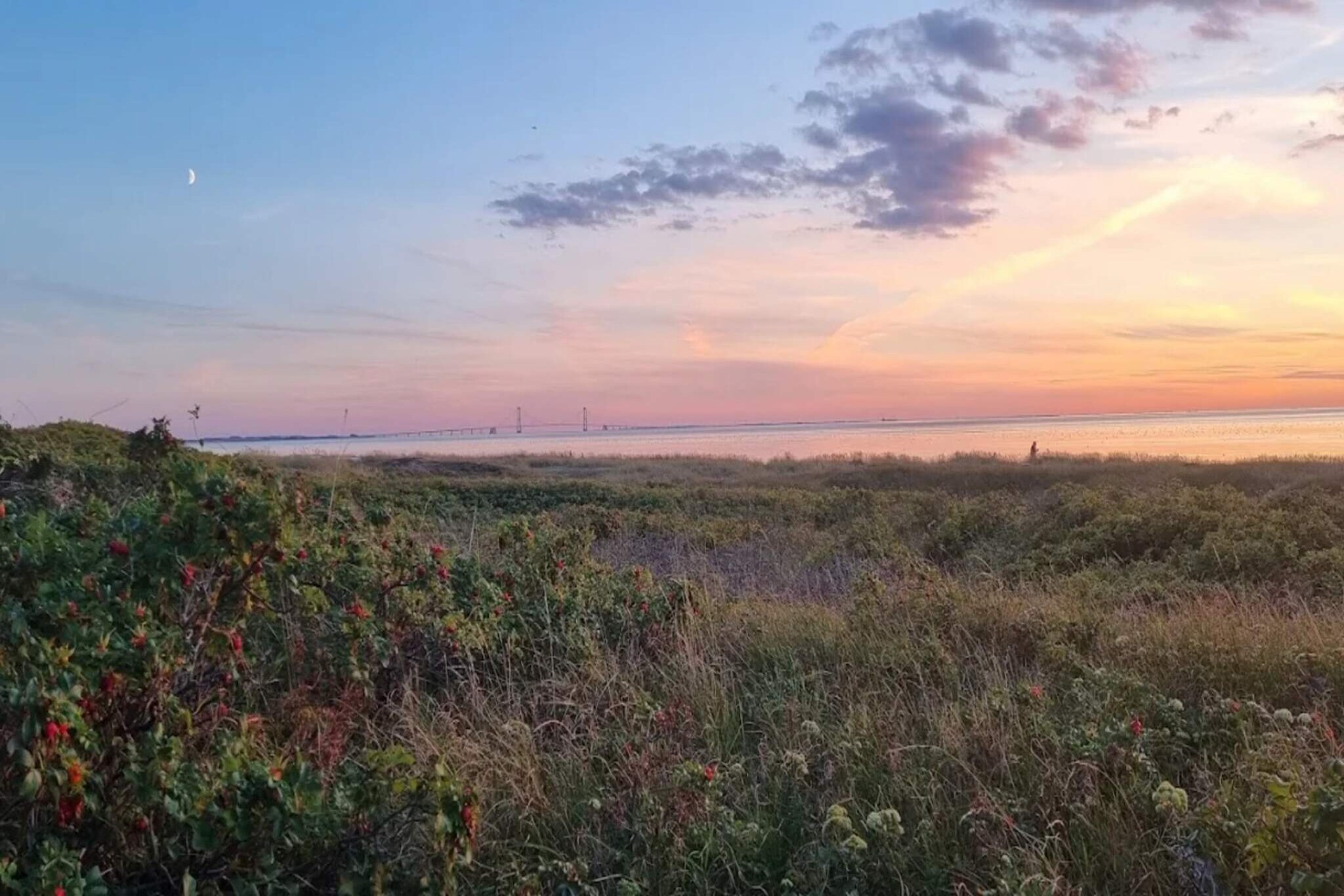 Maison de vacances pour 6 a Slagelse-Vue sur l'eau
