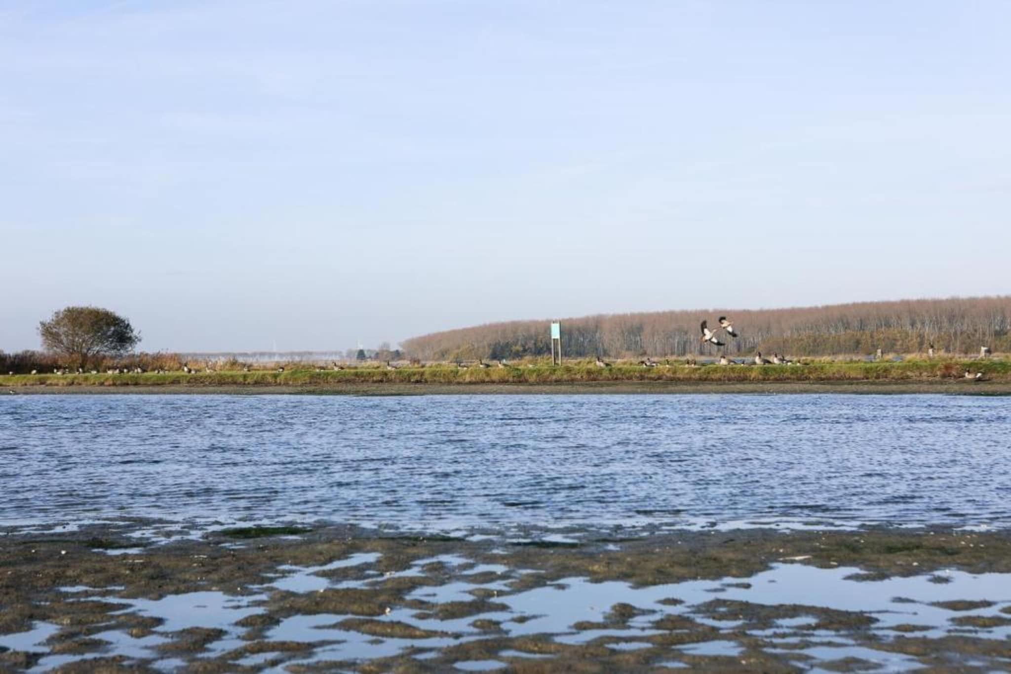 Park Veerse Kreek 1-Gebieden zomer 5km
