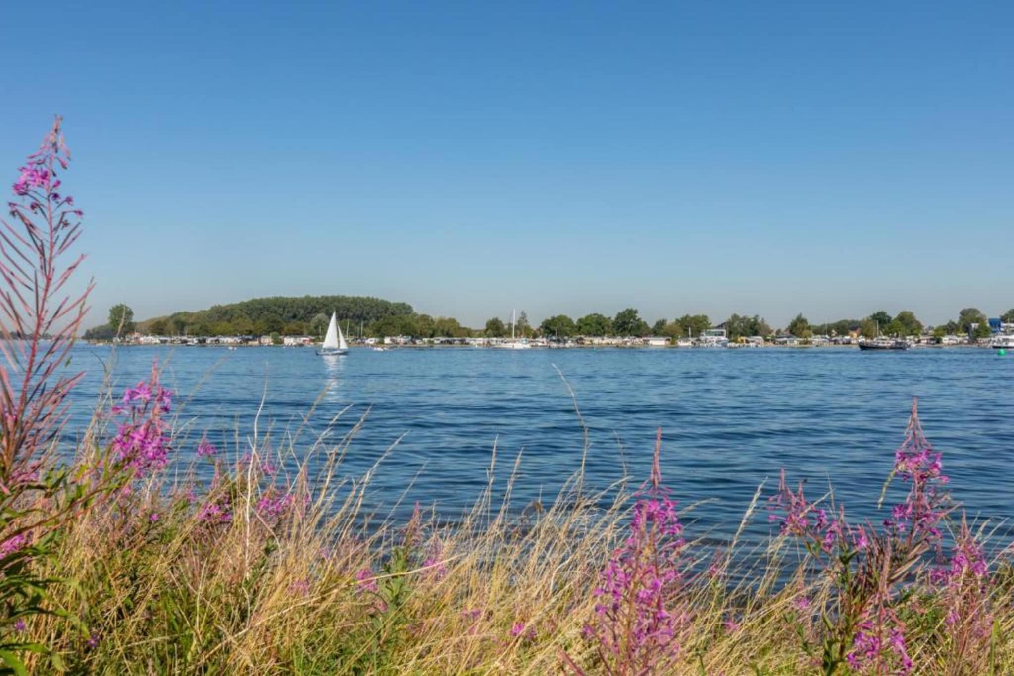 Park Veerse Kreek 1-Gebieden zomer 5km