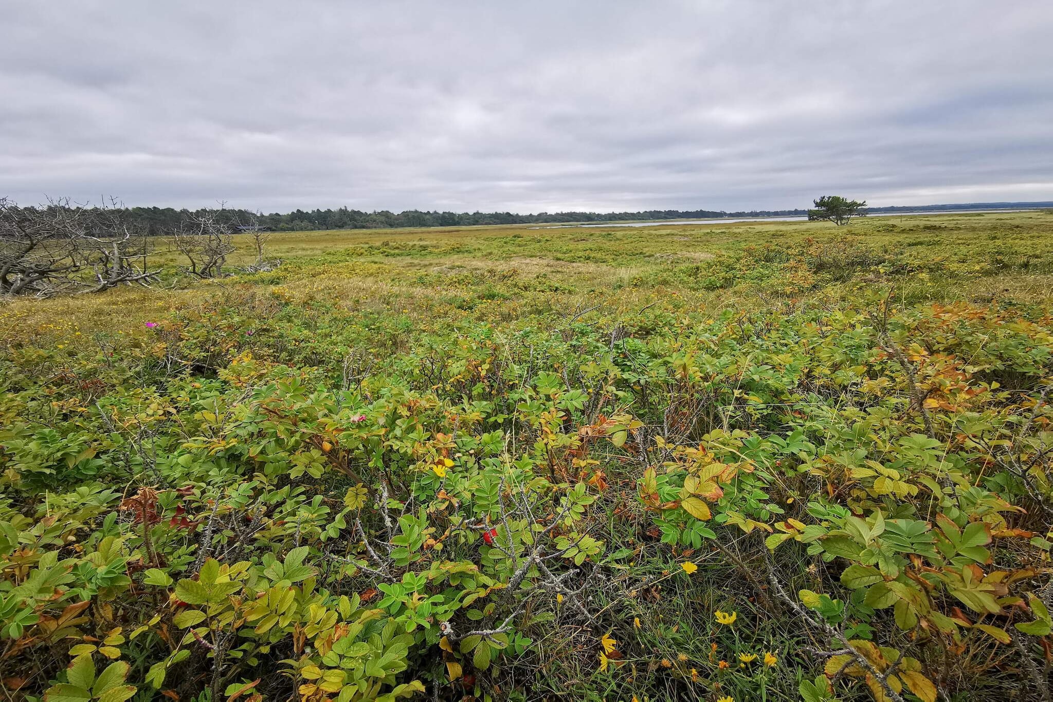 6 persoons vakantie huis in Højby-Niet-getagd
