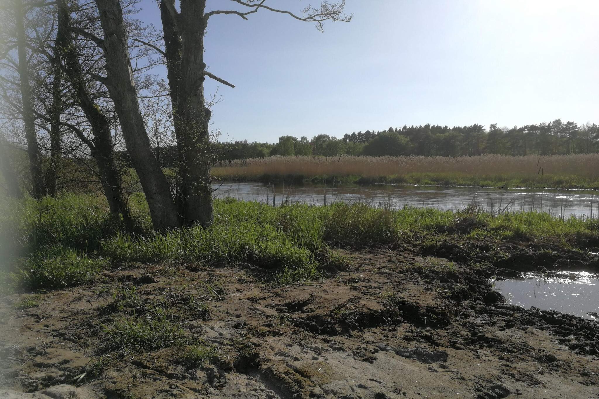 6 Personen Ferienhaus in Ans By-Wasserblick