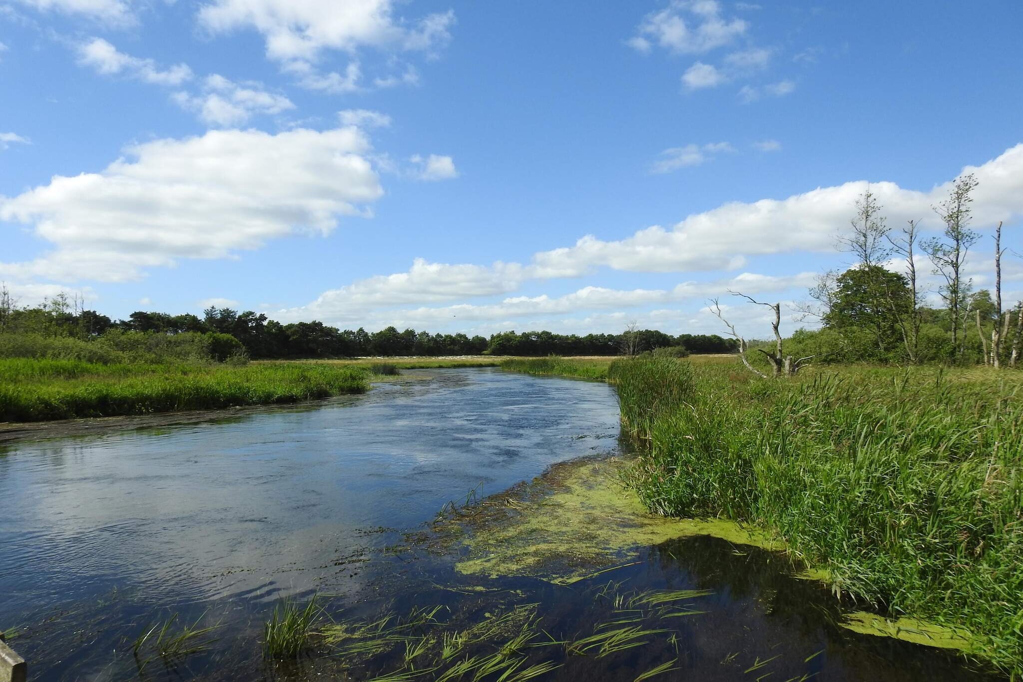 6 Personen Ferienhaus in Ans By-Wasserblick