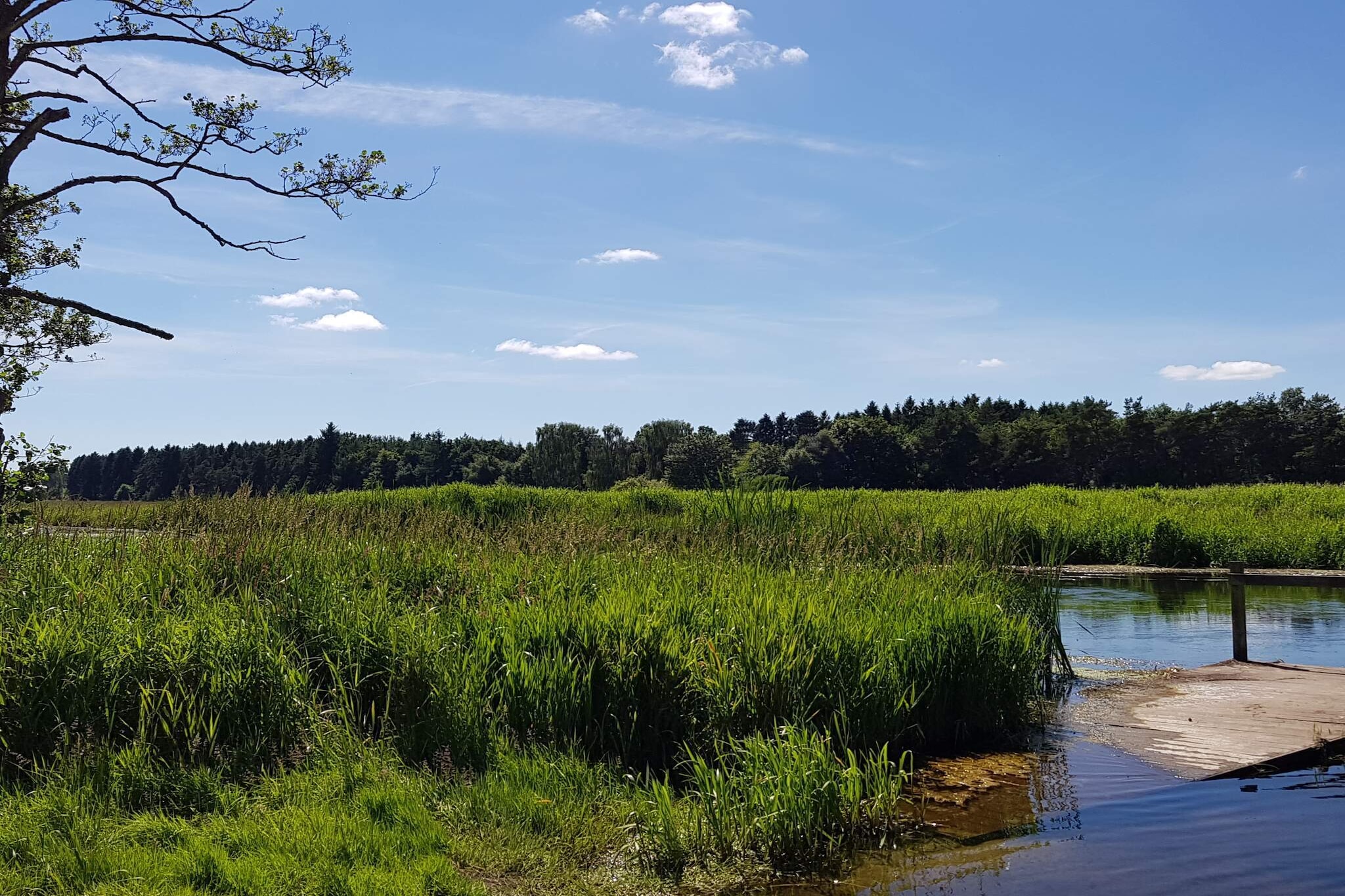 6 Personen Ferienhaus in Ans By-Wasserblick