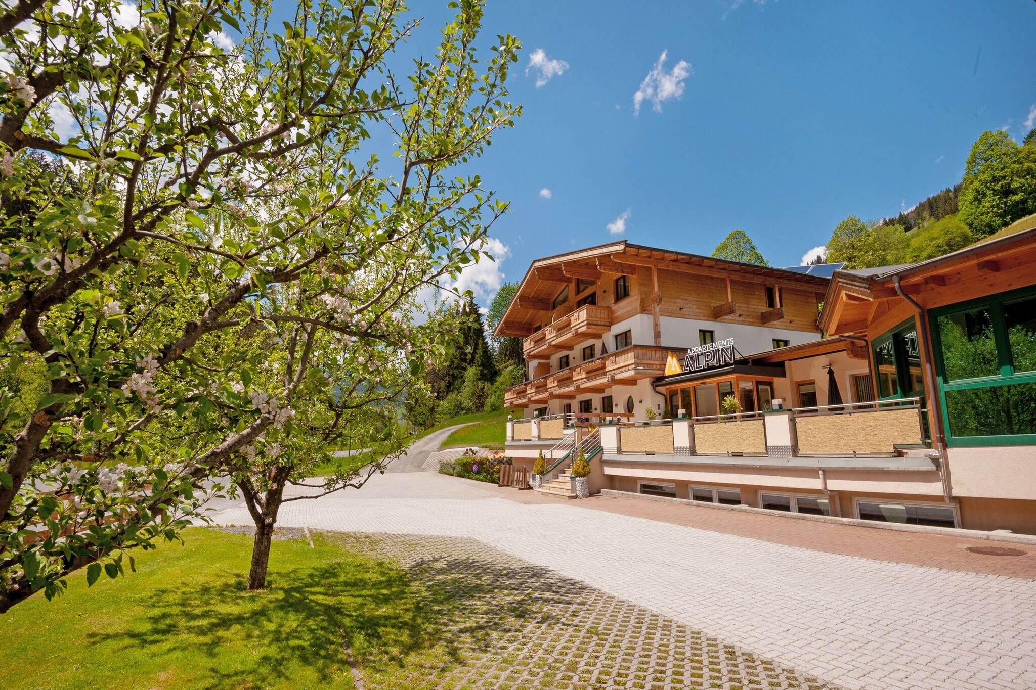Magnifique appartement à Saalbach avec sauna près des pistes de ski