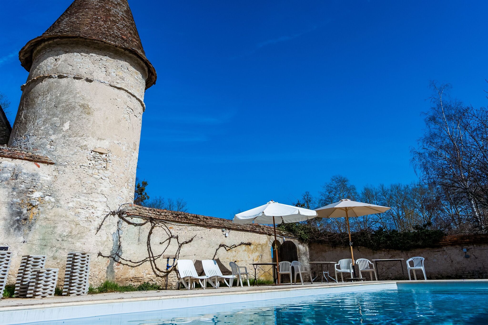 Prachtig kasteel in Le Veurdre met een privézwembad