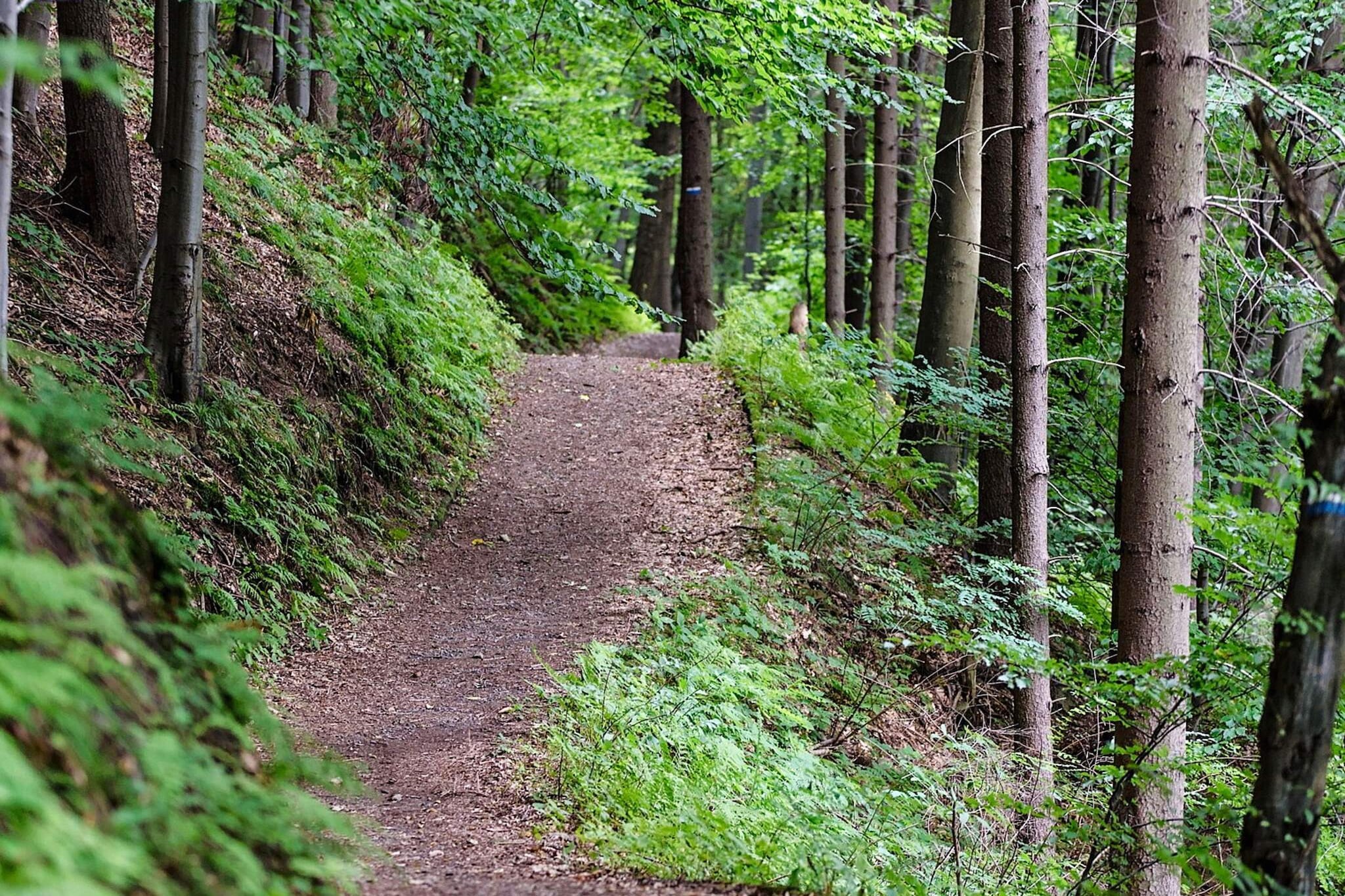 6 persoons vakantie huis in BRASTAD-Niet-getagd