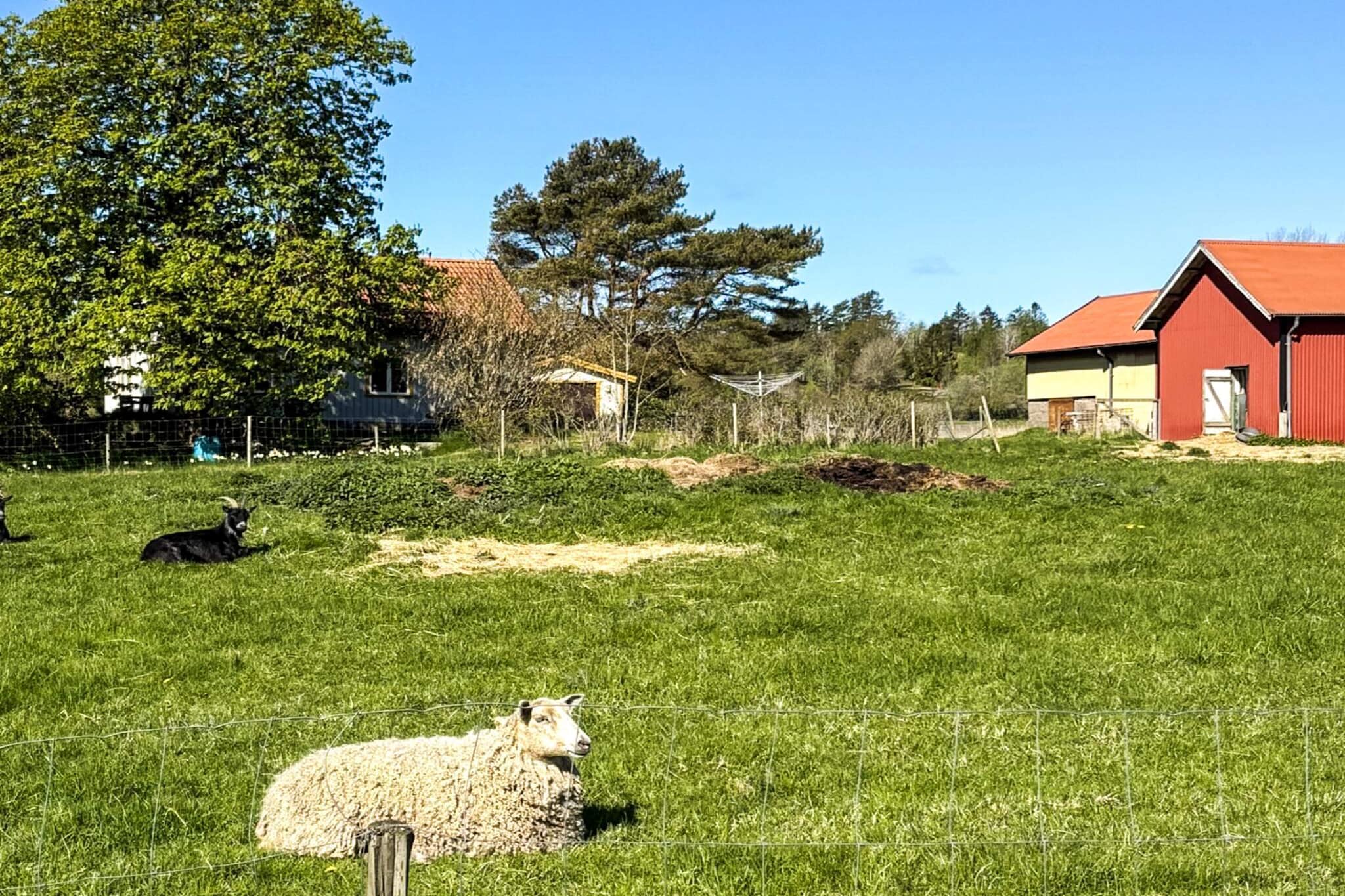 Vakantiehuis aan zee bij Gullmarsfjord - Buitenlucht