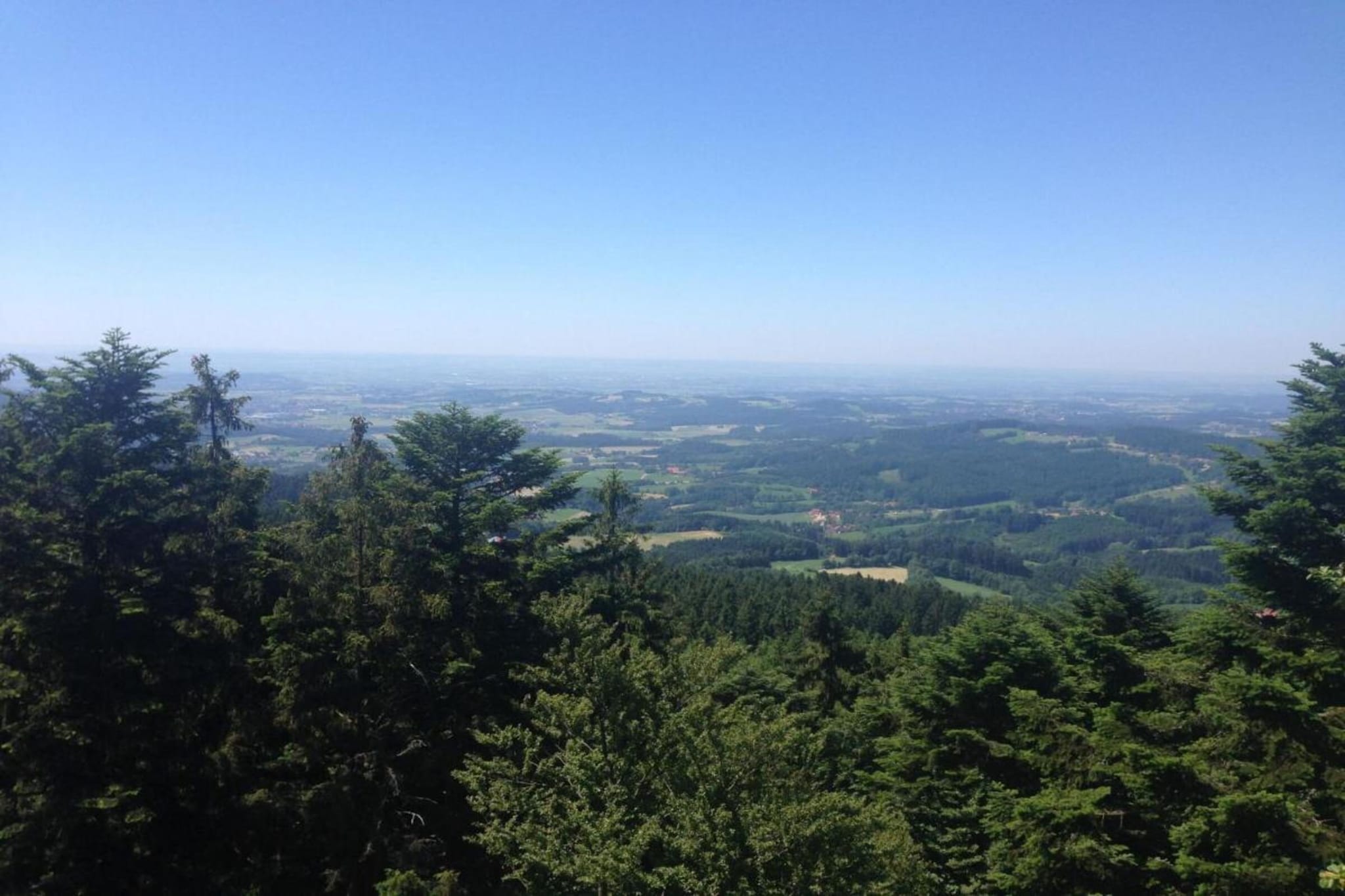 Finkenstube-Gebiete Sommer 20 km
