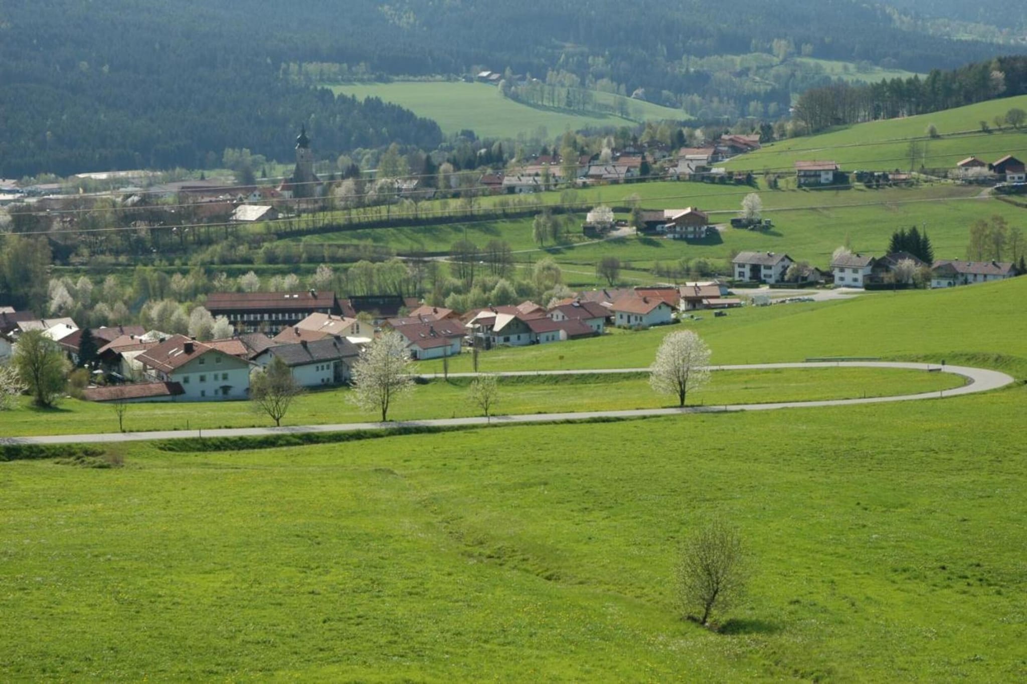 Finkenstube-Gebiete Sommer 5 km