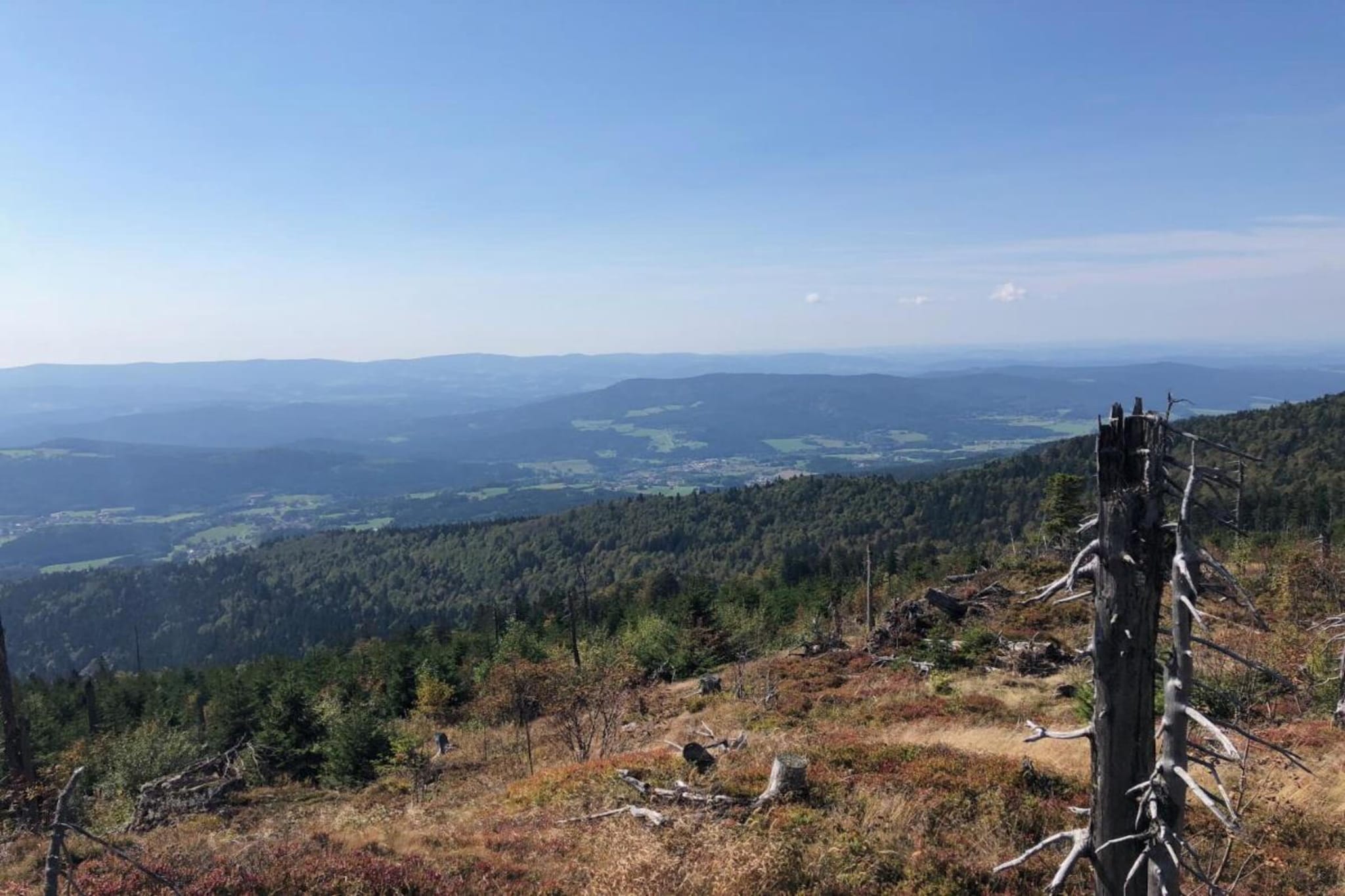 Finkenstube-Gebiete Sommer 20 km