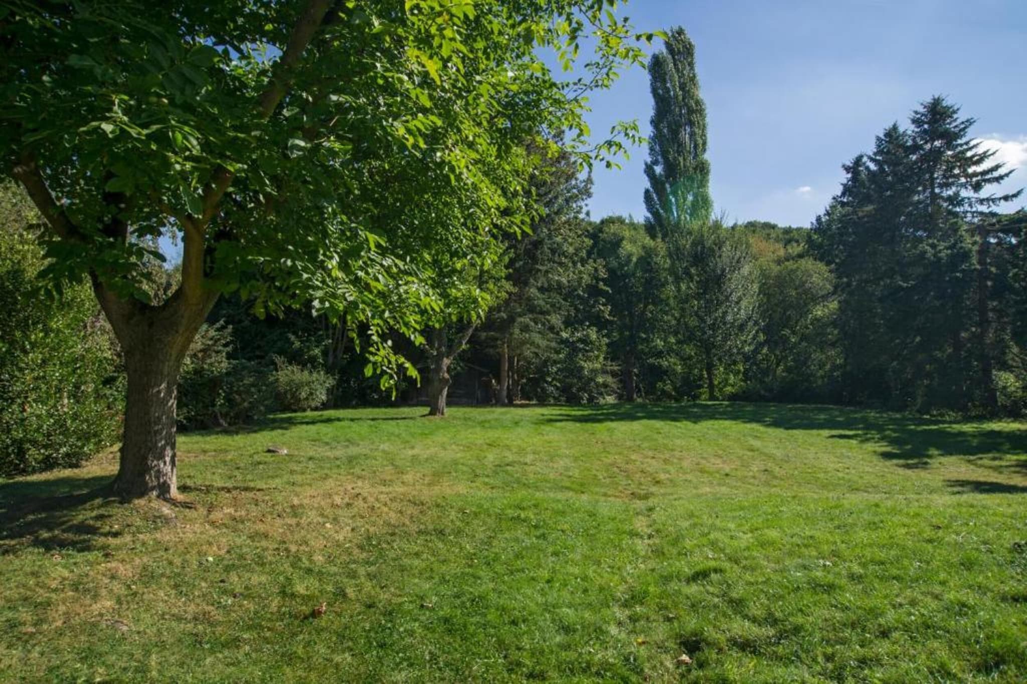 Resort Eifeler Tor 3-Gebiete Sommer 5 km