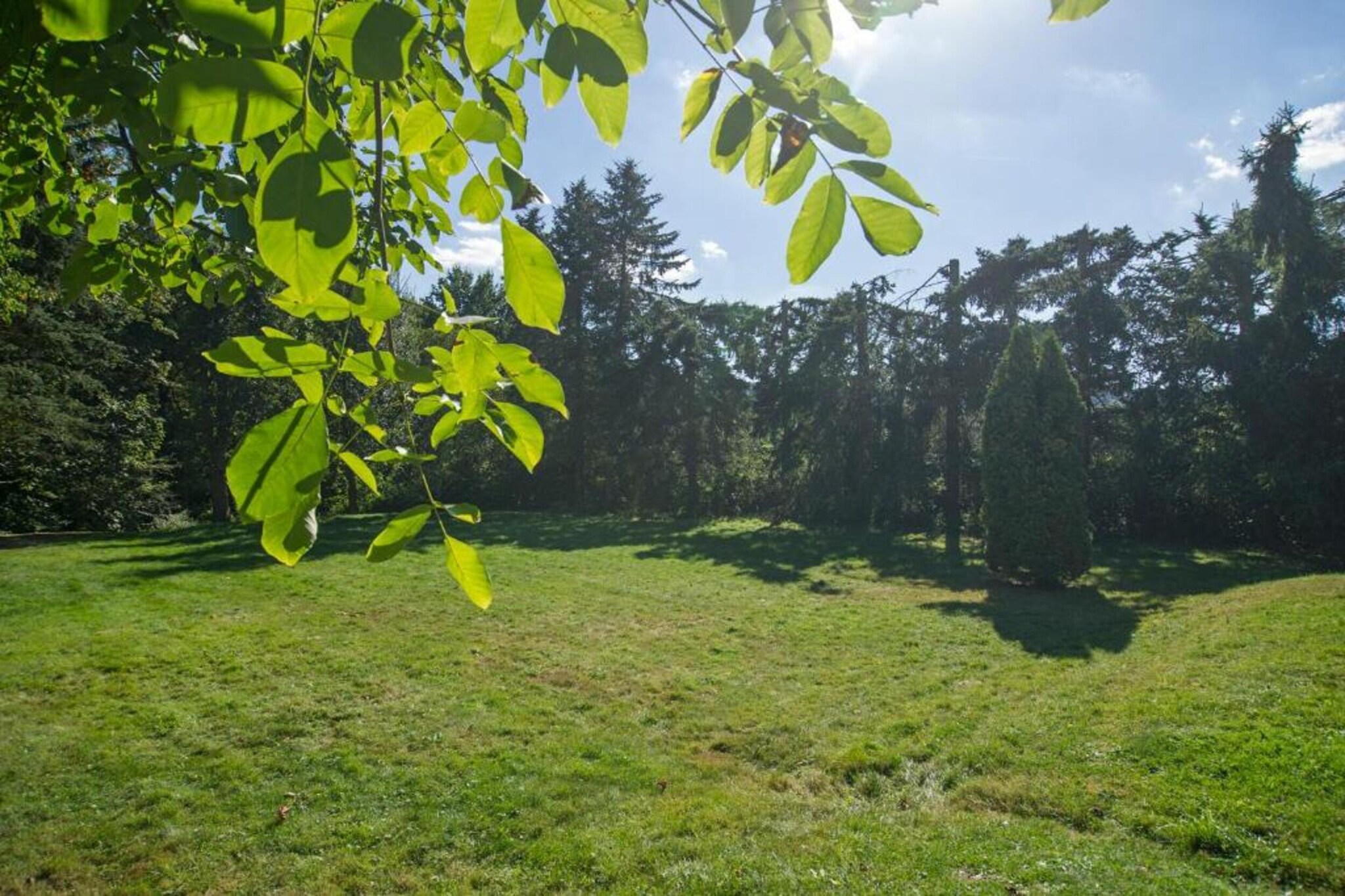 Resort Eifeler Tor 3-Gebiete Sommer 5 km