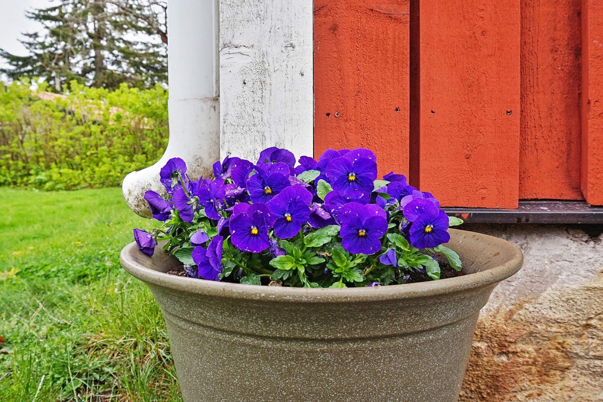 7 person holiday home in GRISSLEHAMN