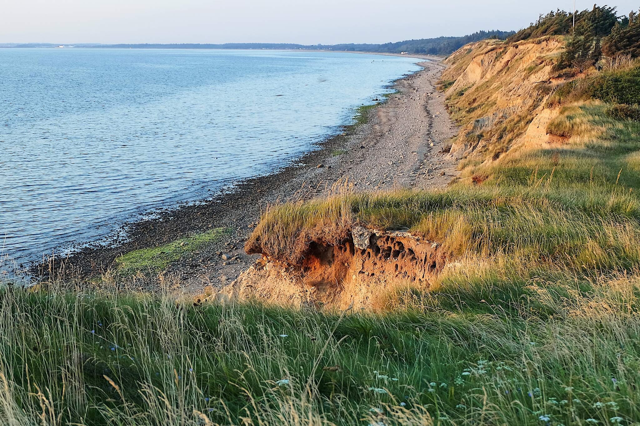 8 persoons vakantie huis in Farsø-Waterzicht
