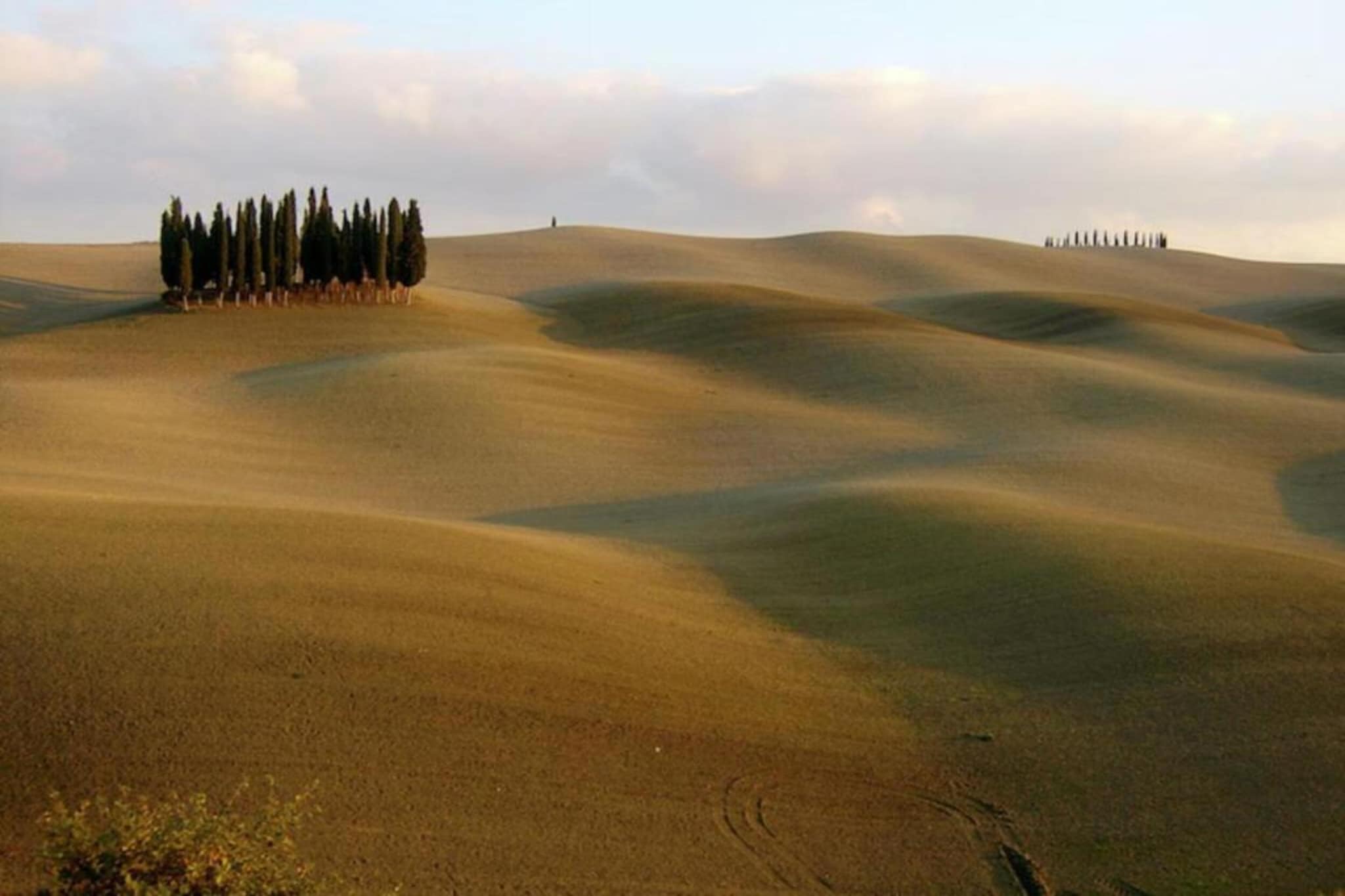 Ginestra1-Areas summer 20km