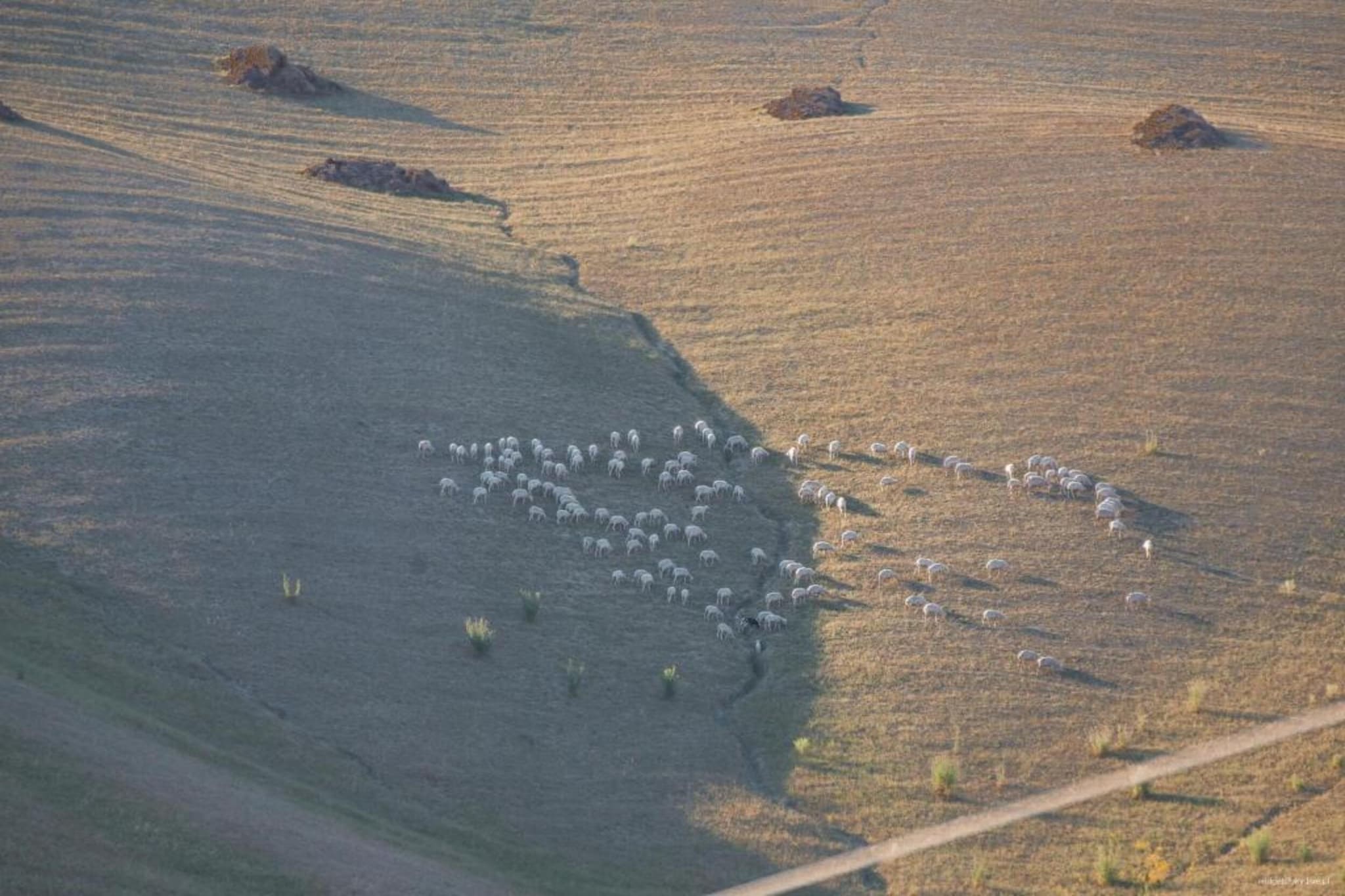 Ginestra1-Areas summer 20km