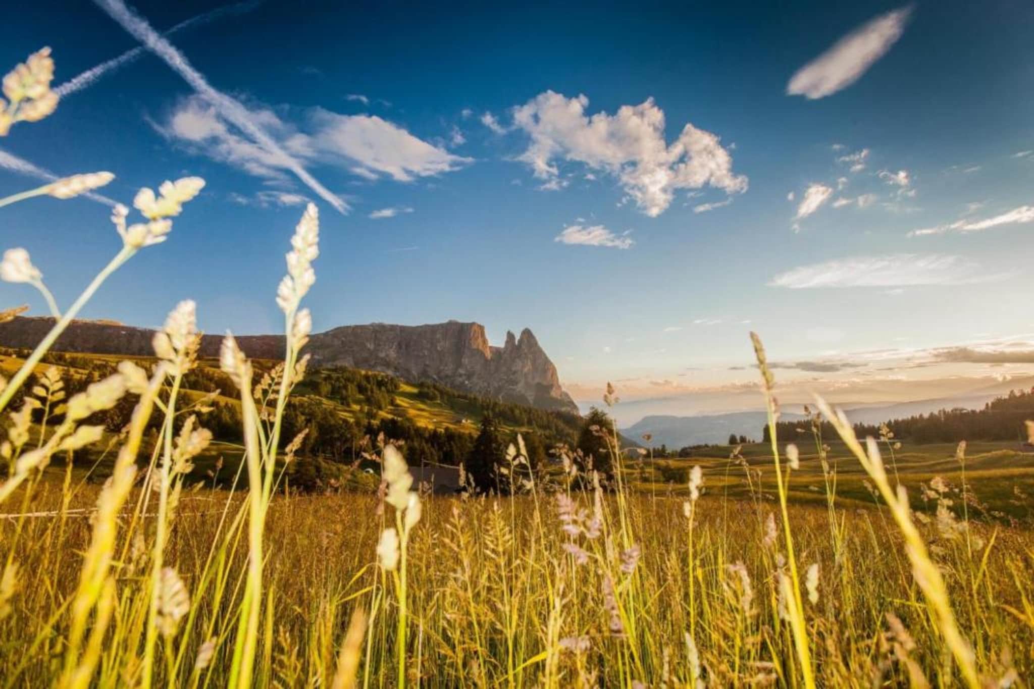 La Paula Apartments & Suites 2-pers-Gebieden zomer 20km