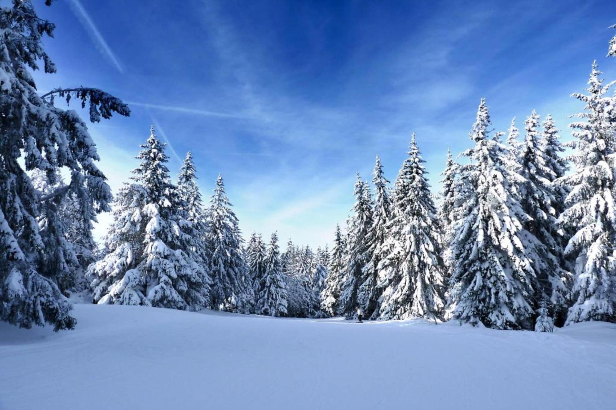 Le Renard-Gebied winter 20km
