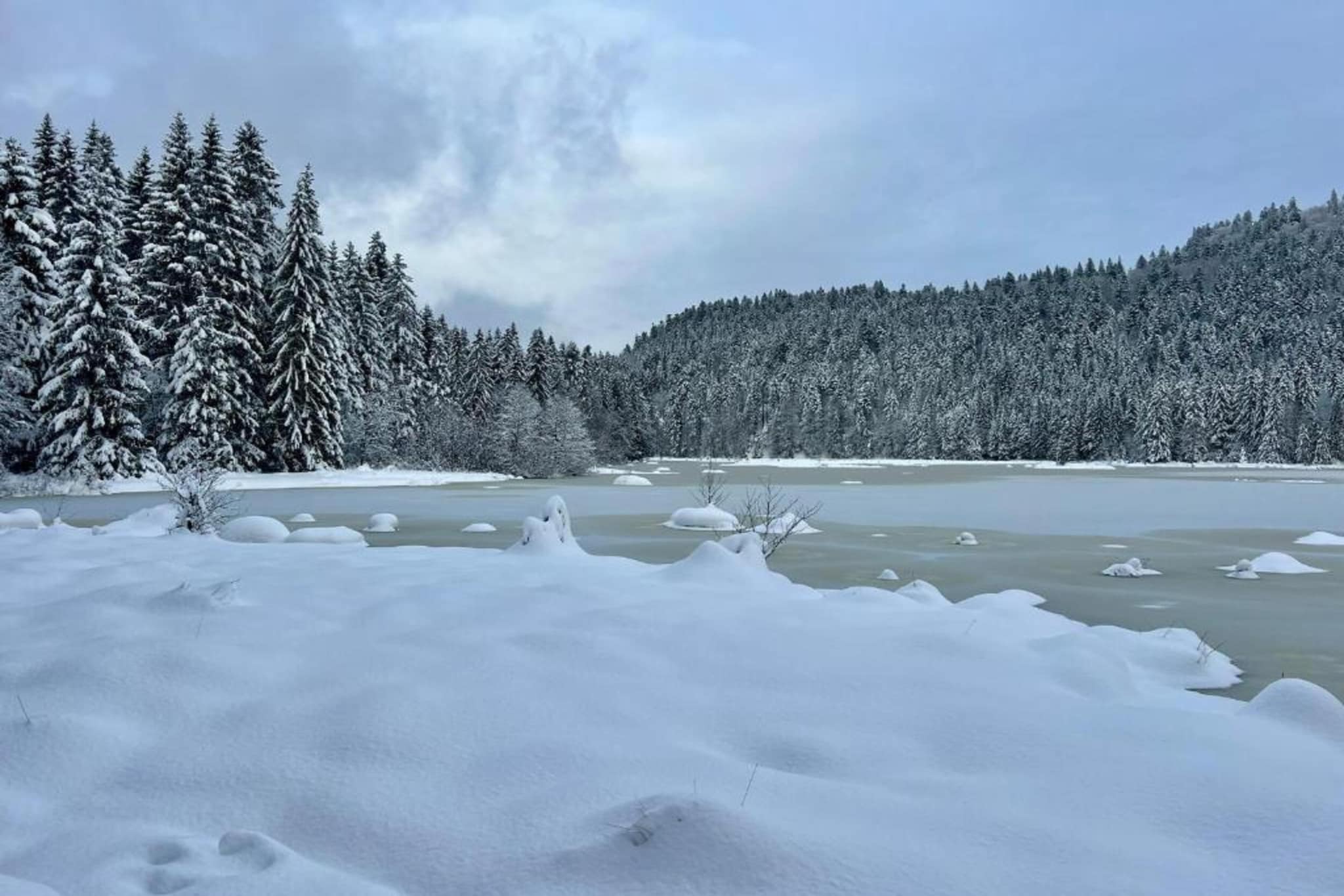 Le Renard-Gebied winter 20km
