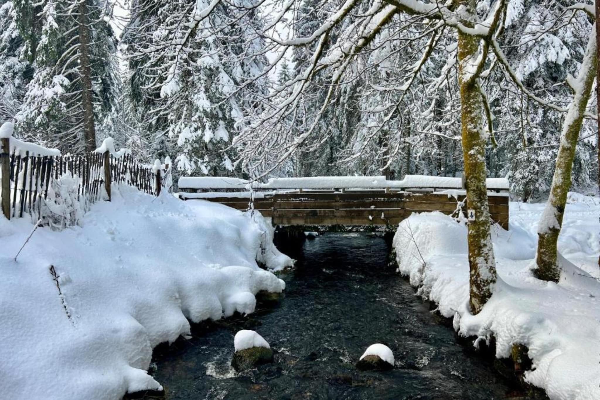 Le Renard-Gebied winter 20km