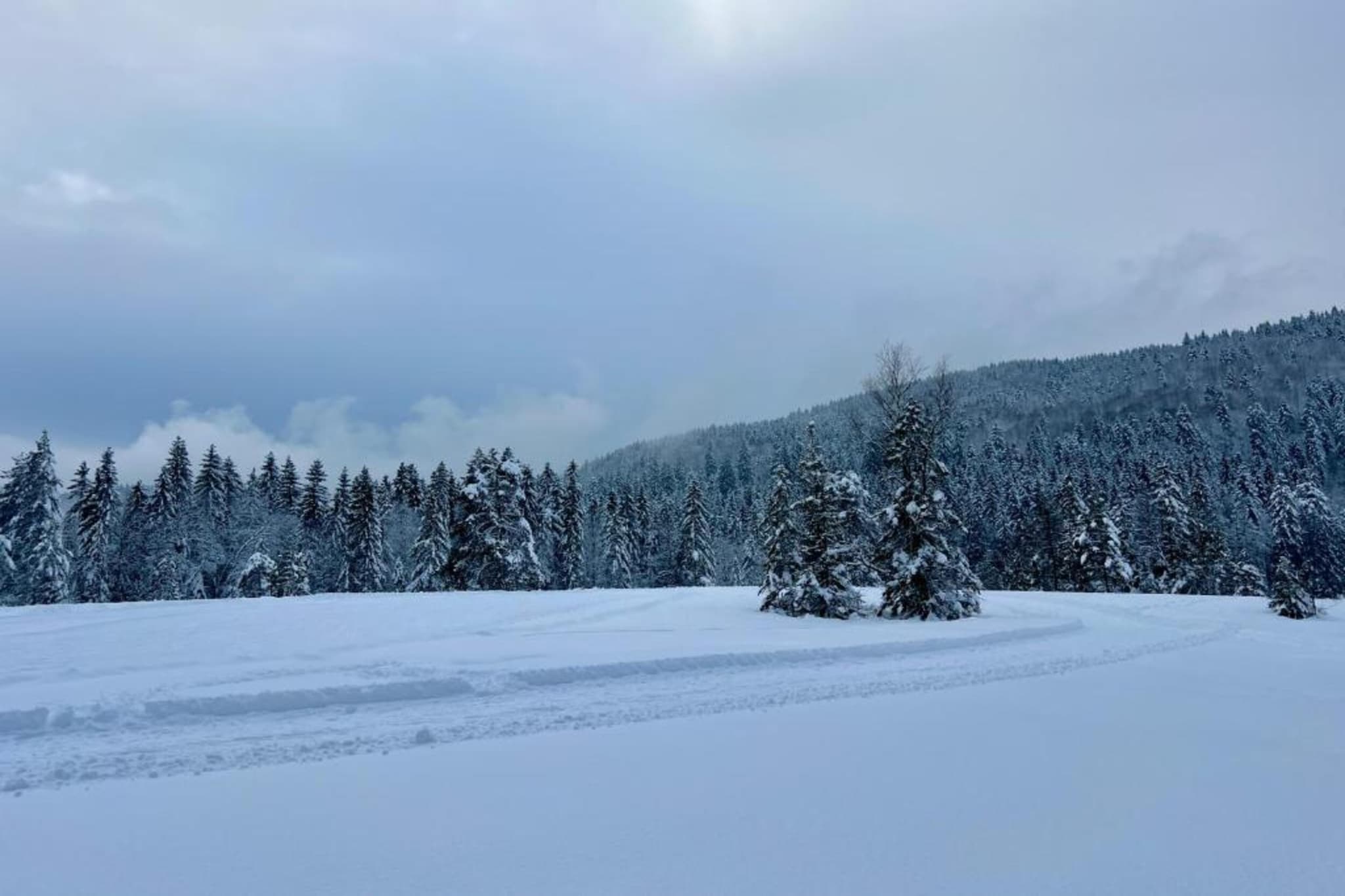 Le Renard-Gebied winter 20km