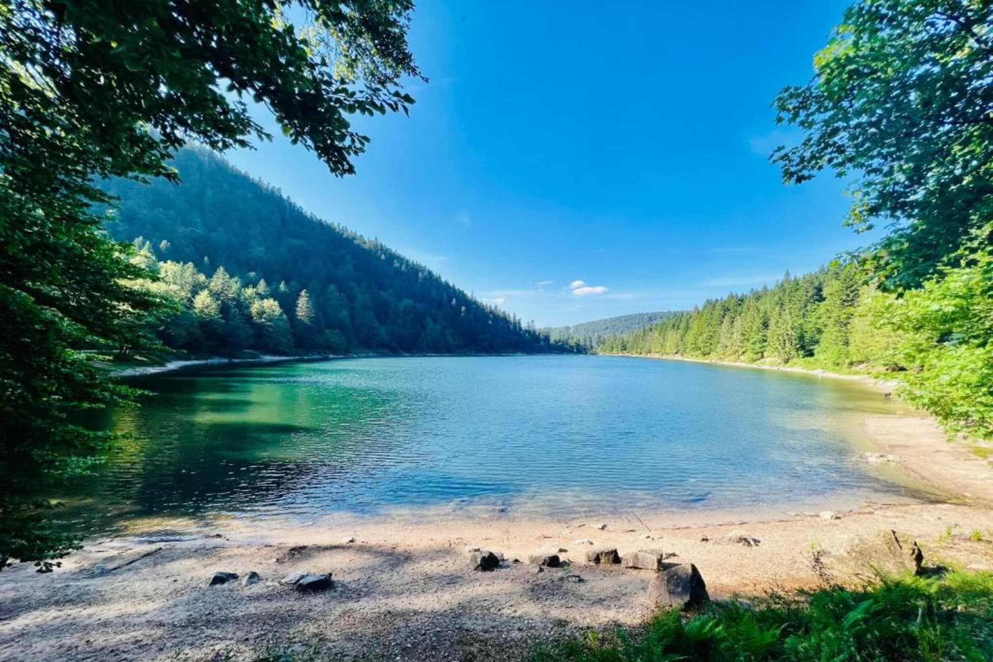 Le Renard-Areas summer 20km