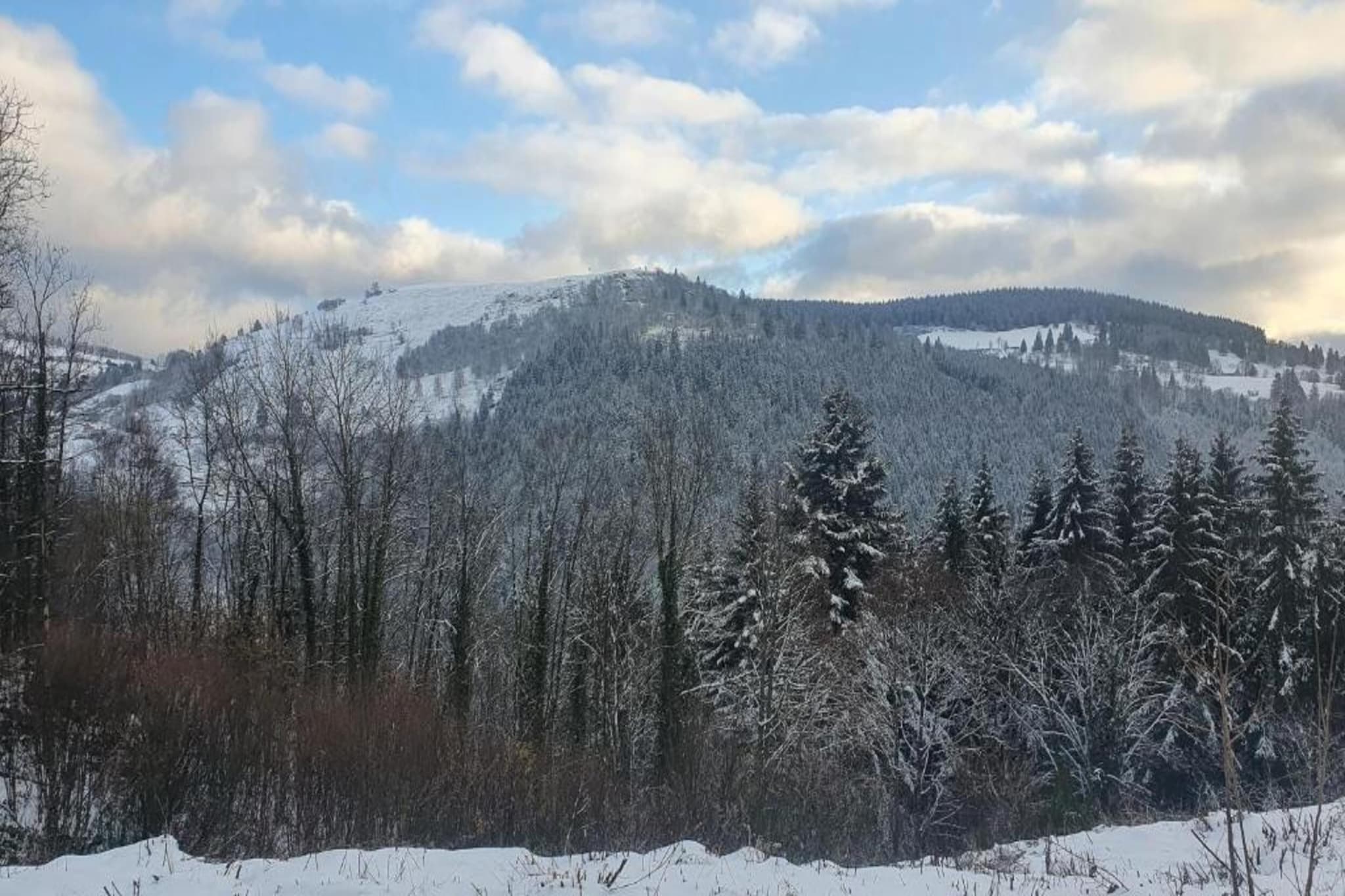 Le Renard-Area winter 5km