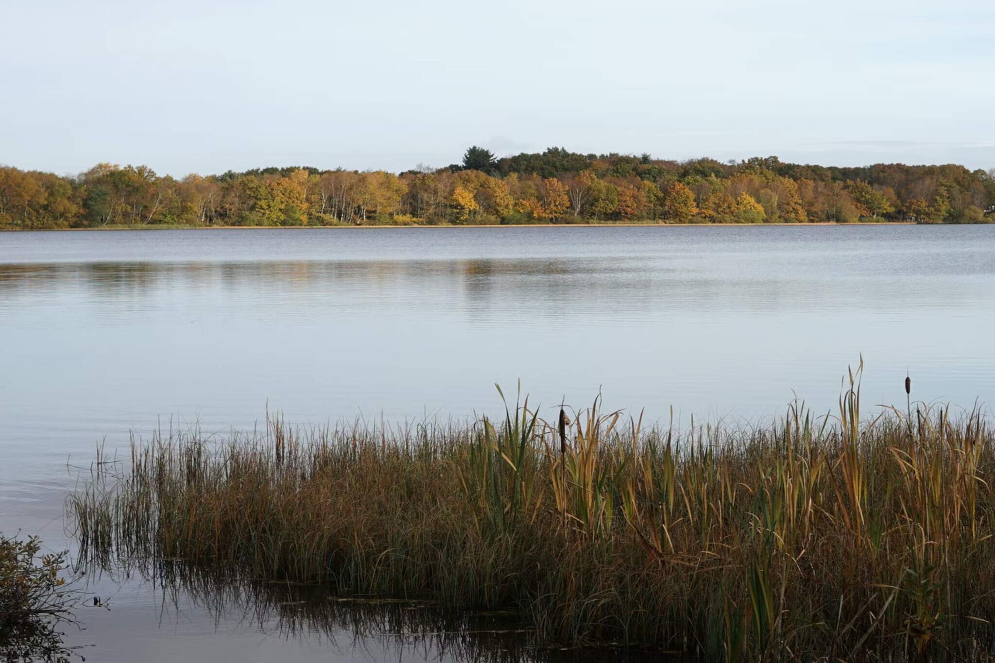 Luxe Meerzijde Toevluchtsoord-By Traum-Waterzicht