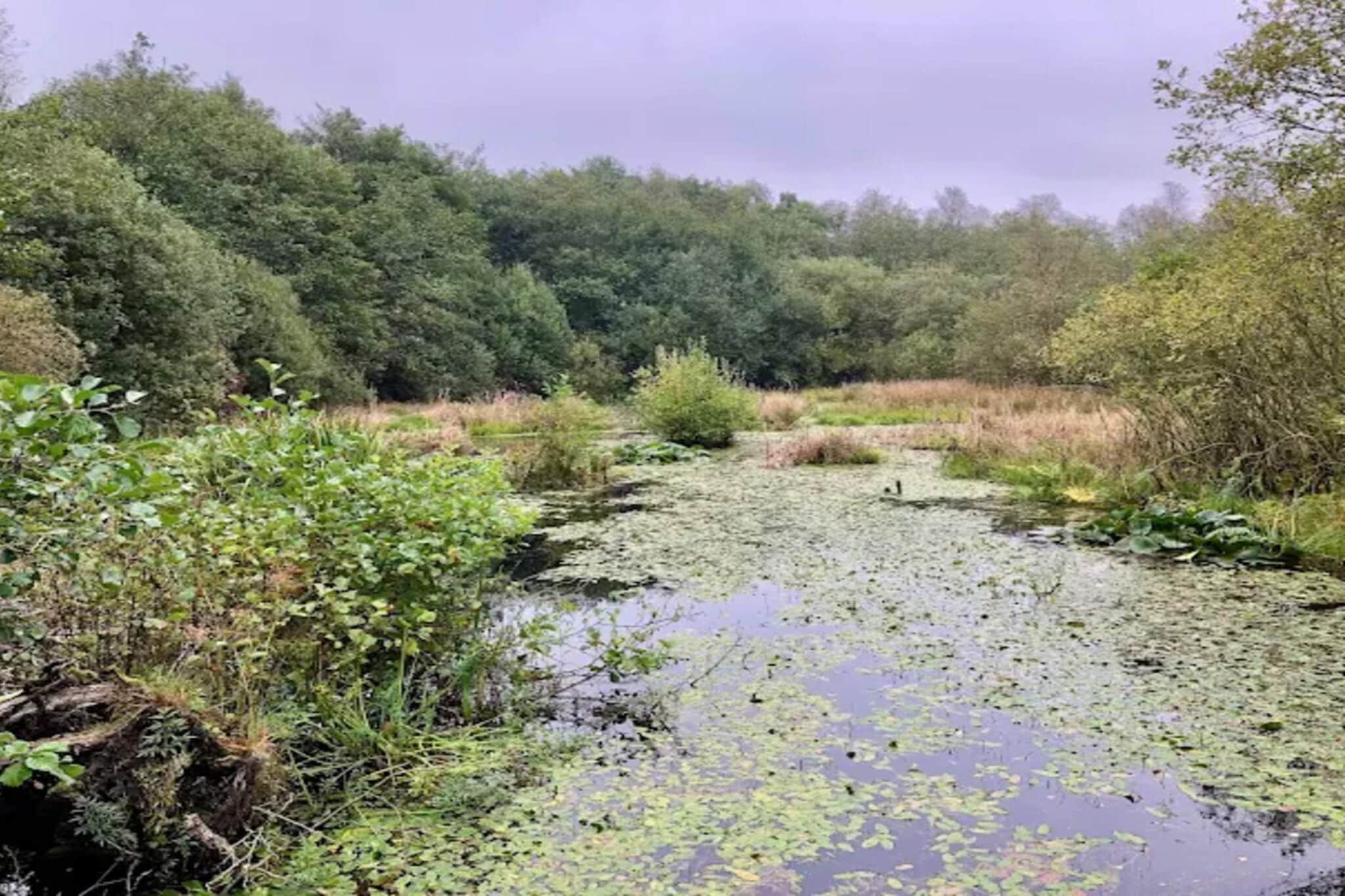 Luxe Meerzijde Toevluchtsoord-By Traum-Waterzicht