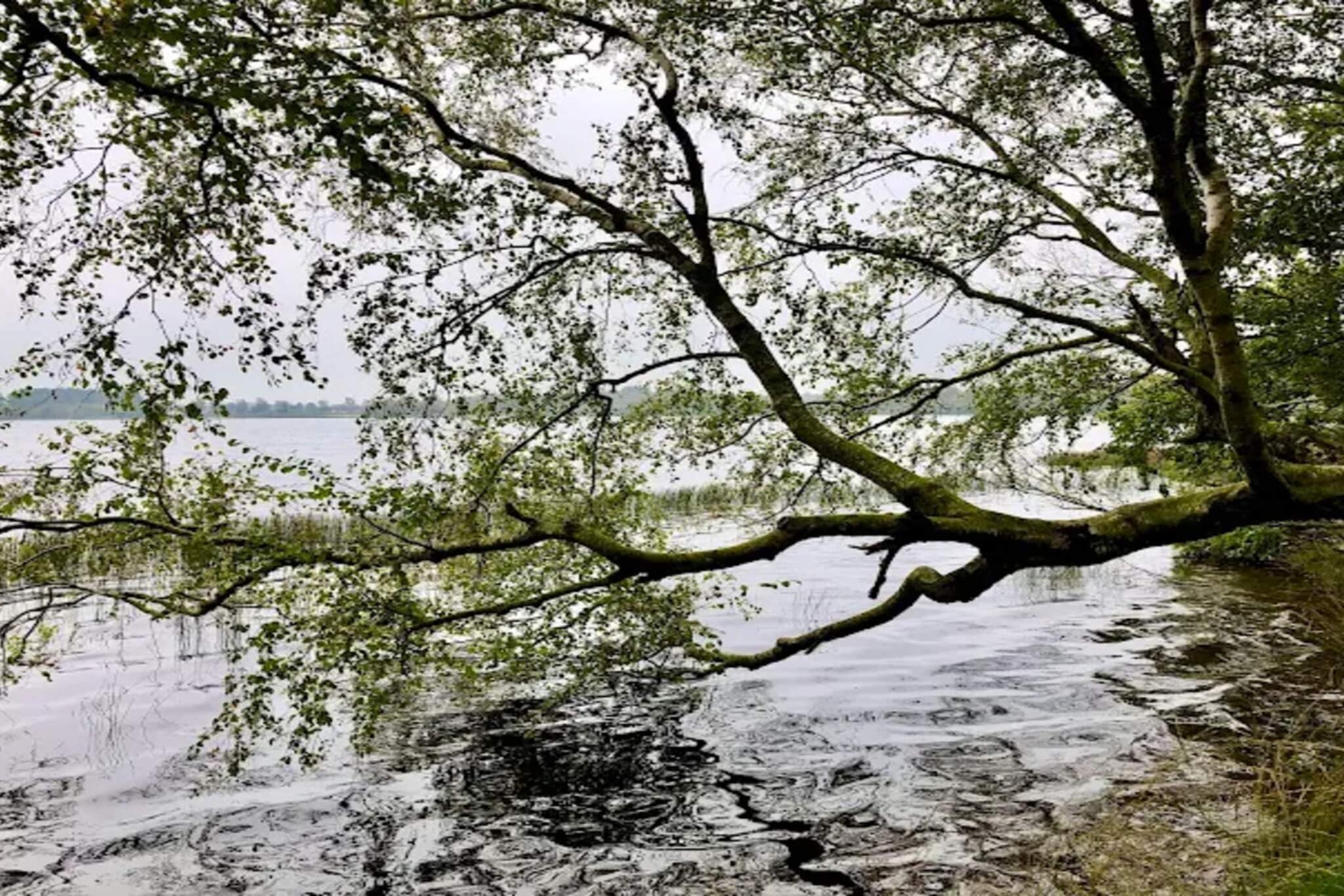 Luxe Meerzijde Toevluchtsoord-By Traum-Waterzicht