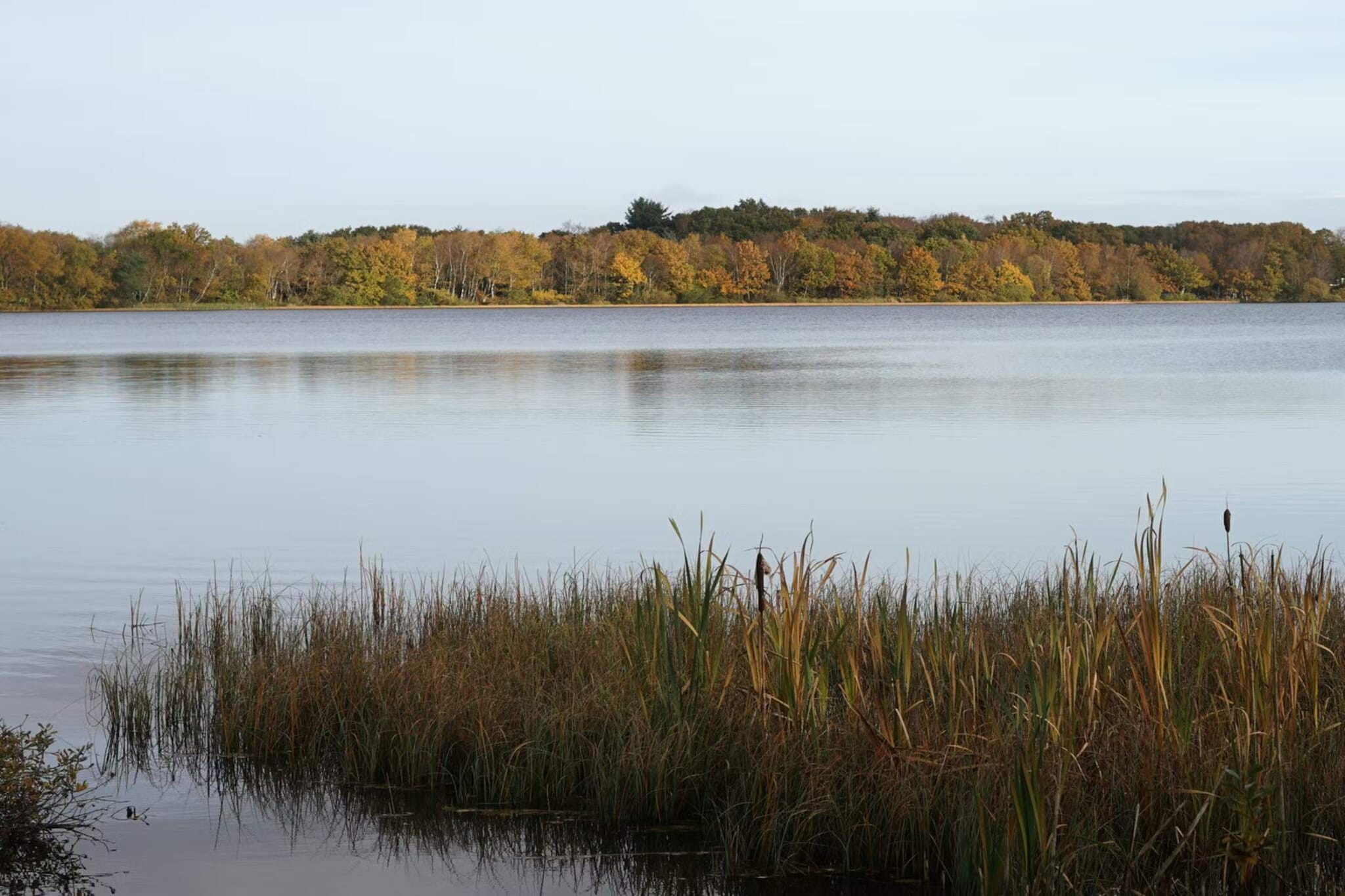Luxe Meerzijde Toevluchtsoord-By Traum - Waterzicht