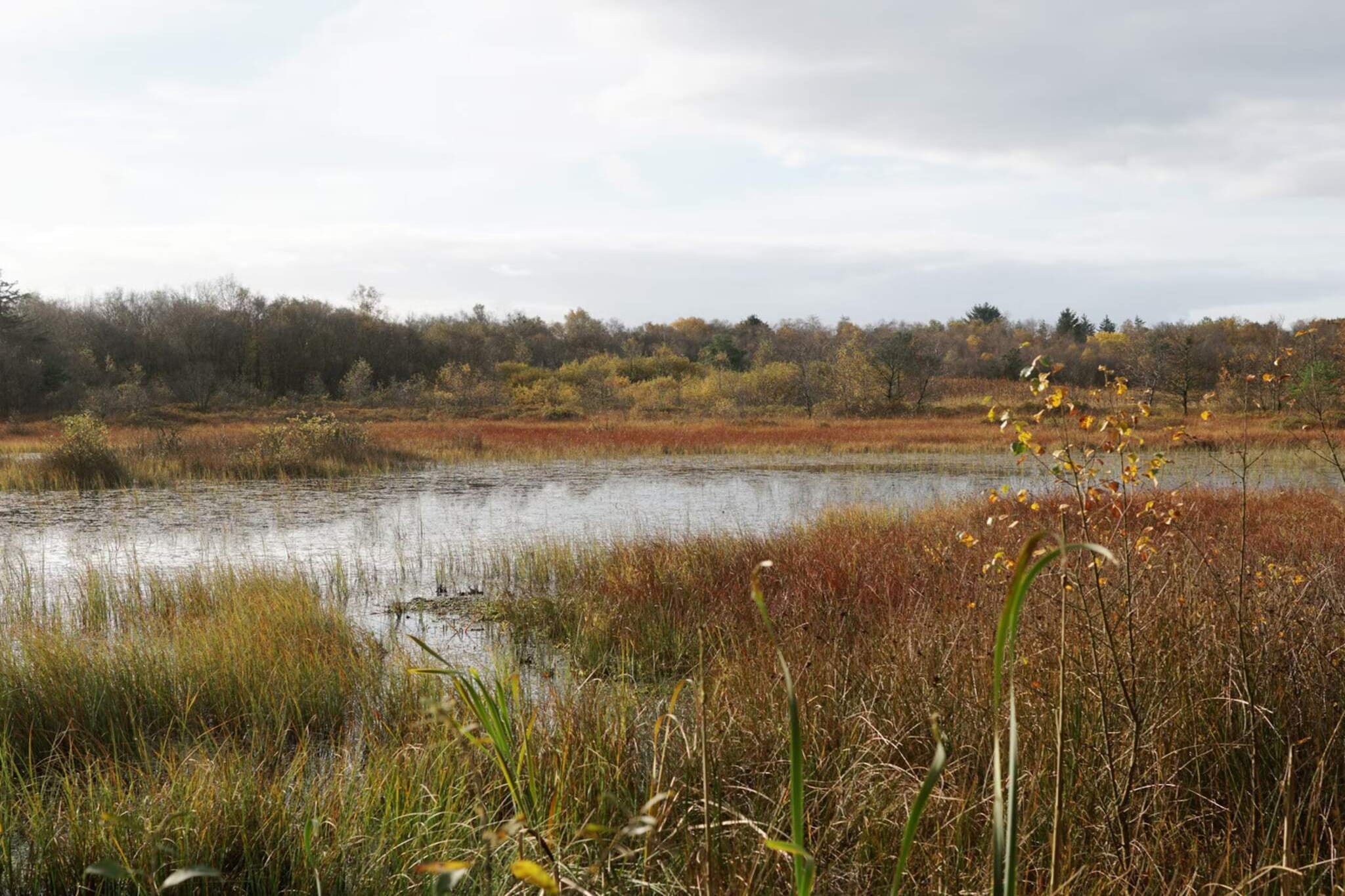 Luxe Meerzijde Toevluchtsoord-By Traum - Waterzicht