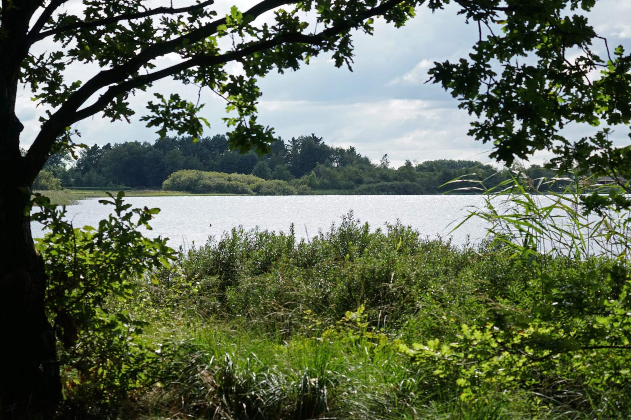 Luxe Meerzijde Toevluchtsoord-By Traum - Waterzicht