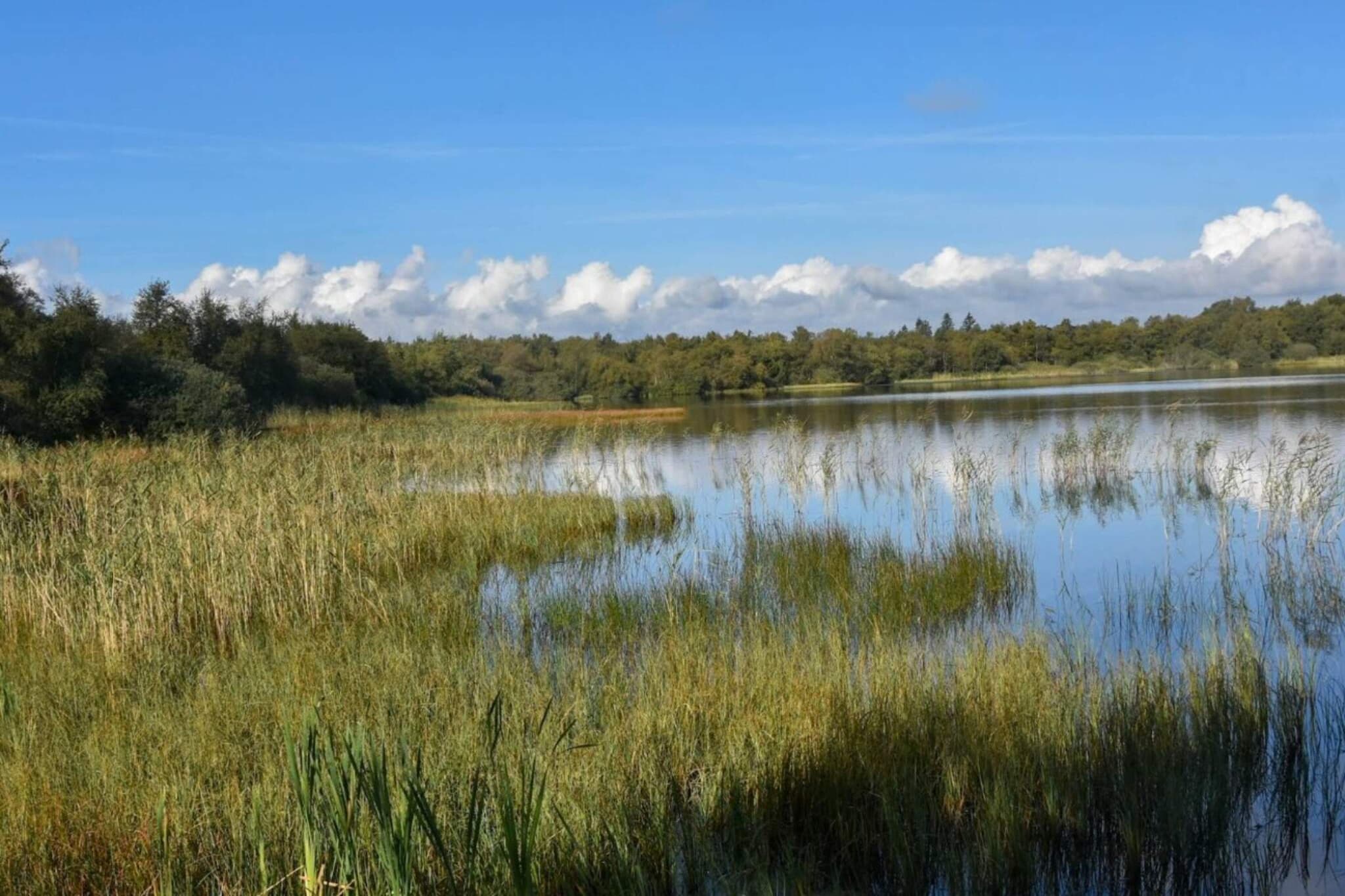Luxe Meerzijde Toevluchtsoord-By Traum - Waterzicht
