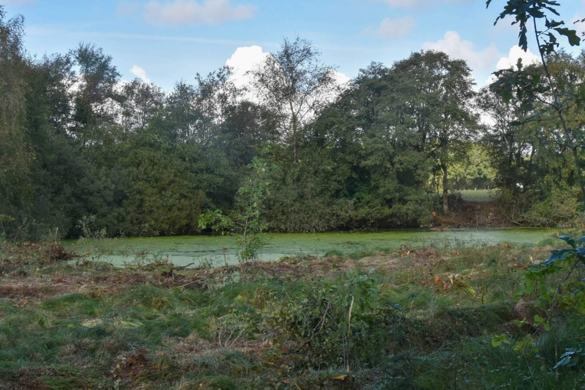 Luxe Meerzijde Toevluchtsoord-By Traum - Waterzicht