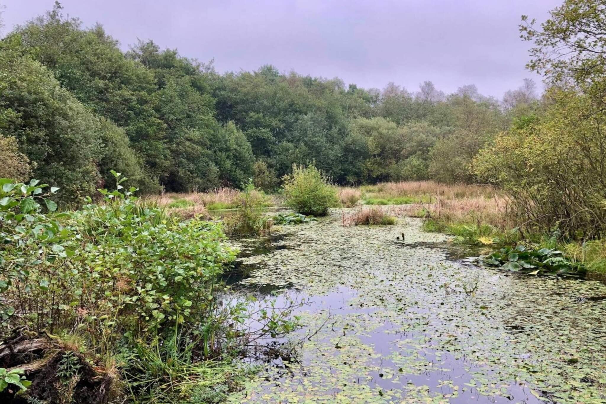 Luxe Meerzijde Toevluchtsoord-By Traum - Waterzicht
