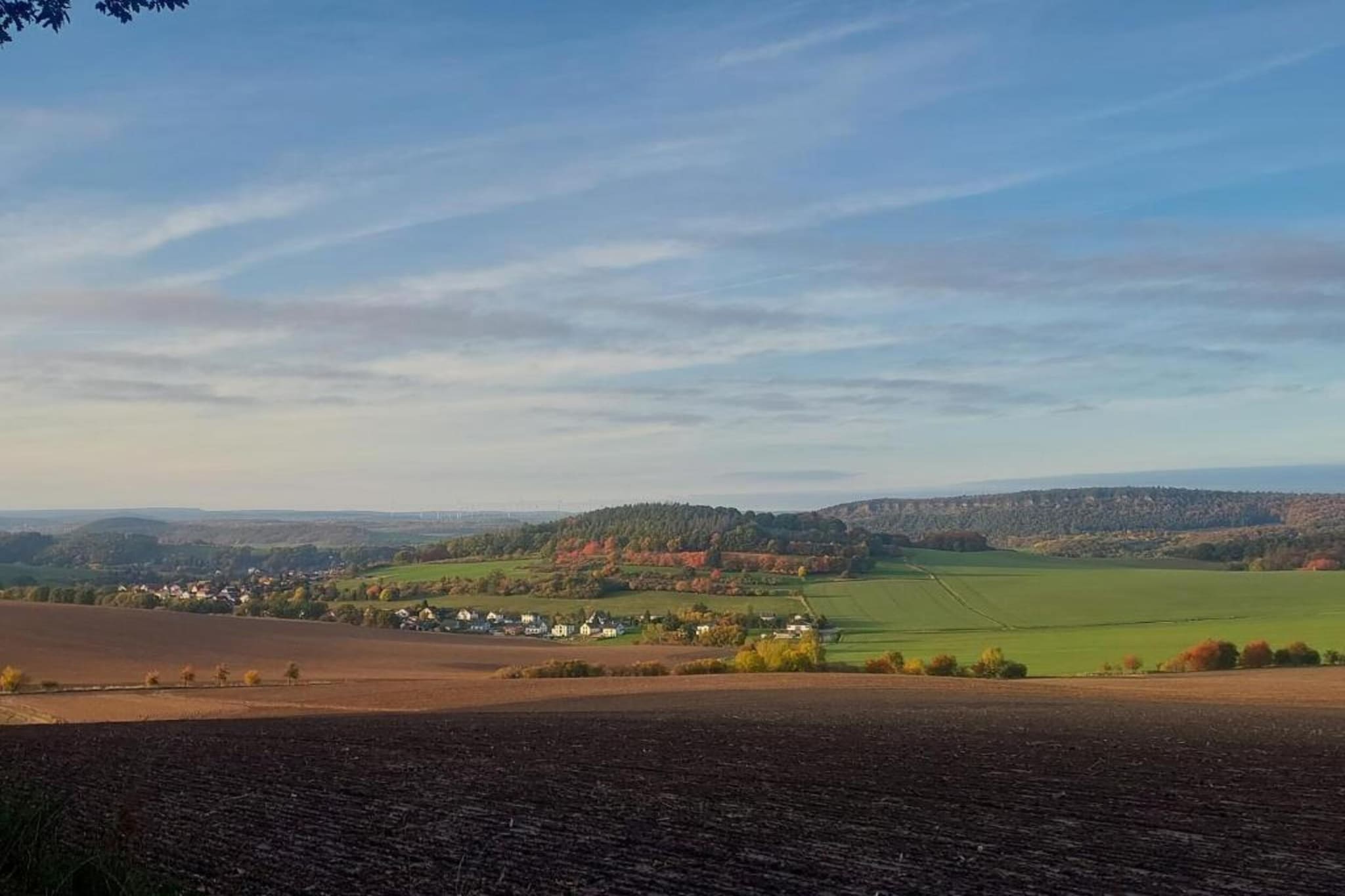 Mosbach-Gebiete Sommer 5 km