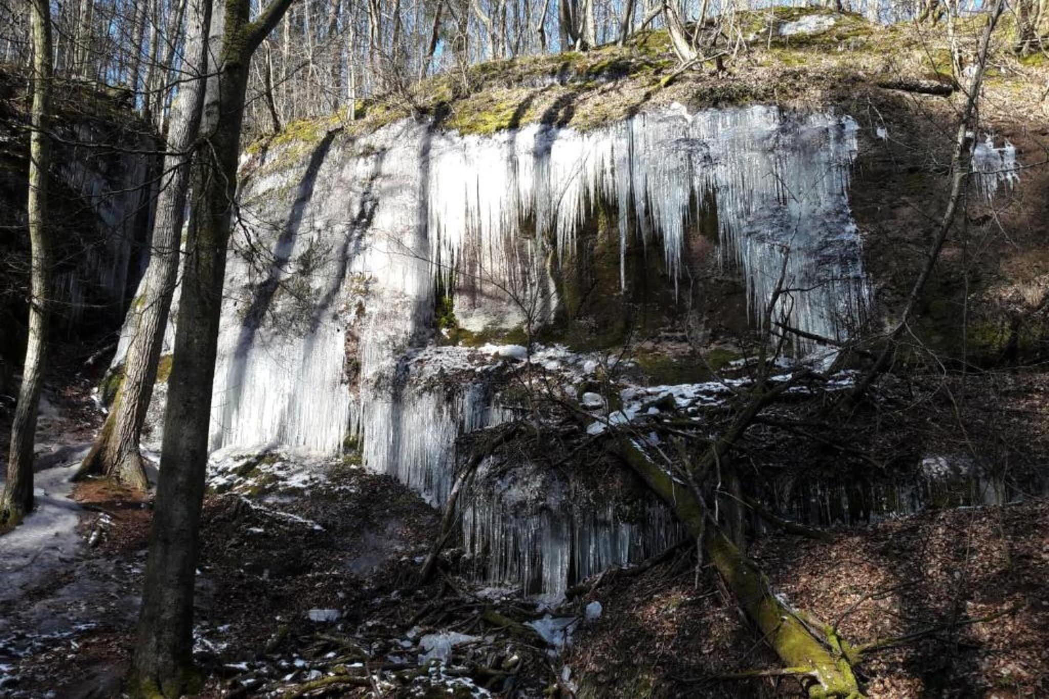 Mosbach-Gebiet Winter 5 km