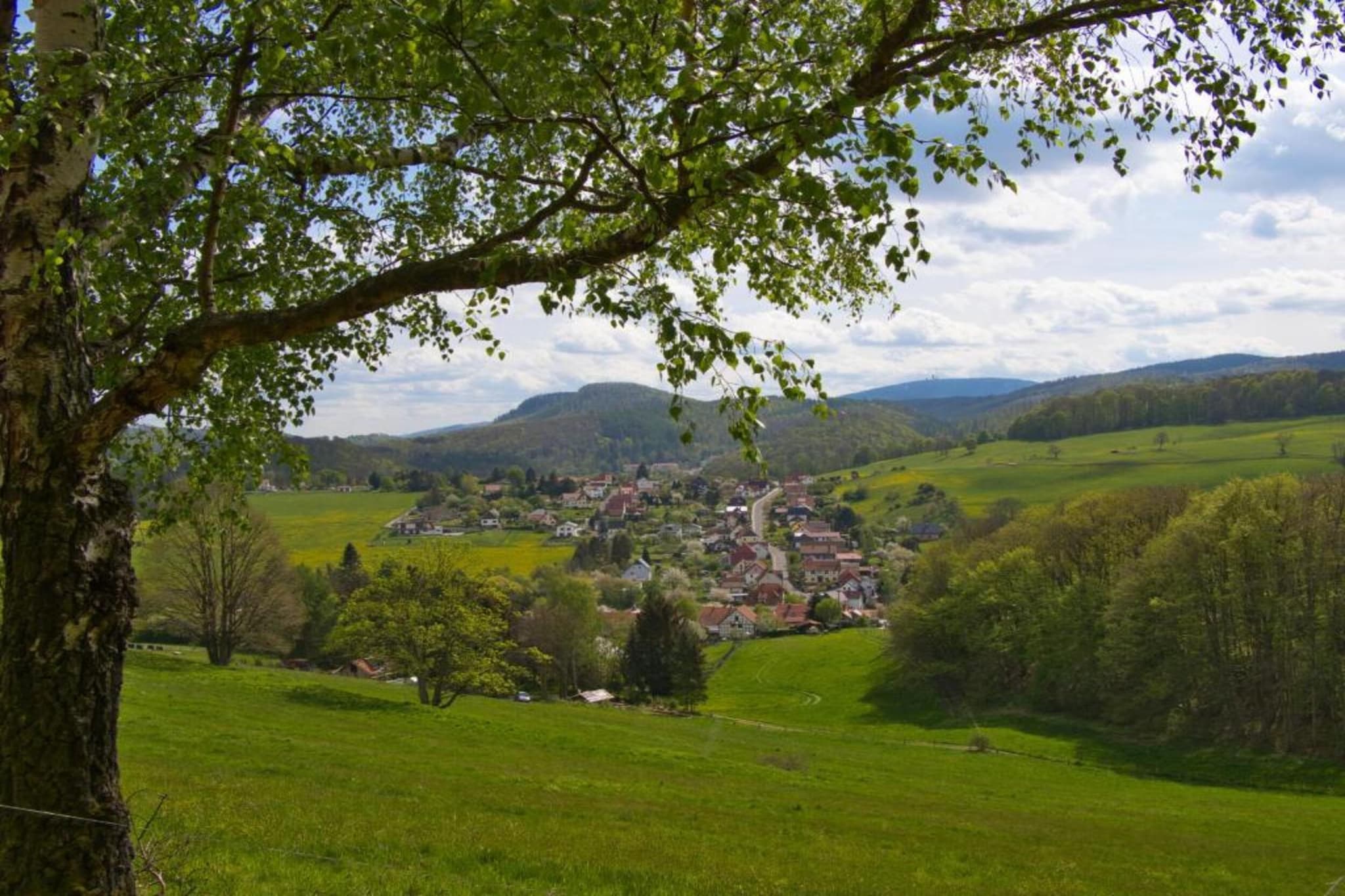 Mosbach-Gebiete Sommer 5 km
