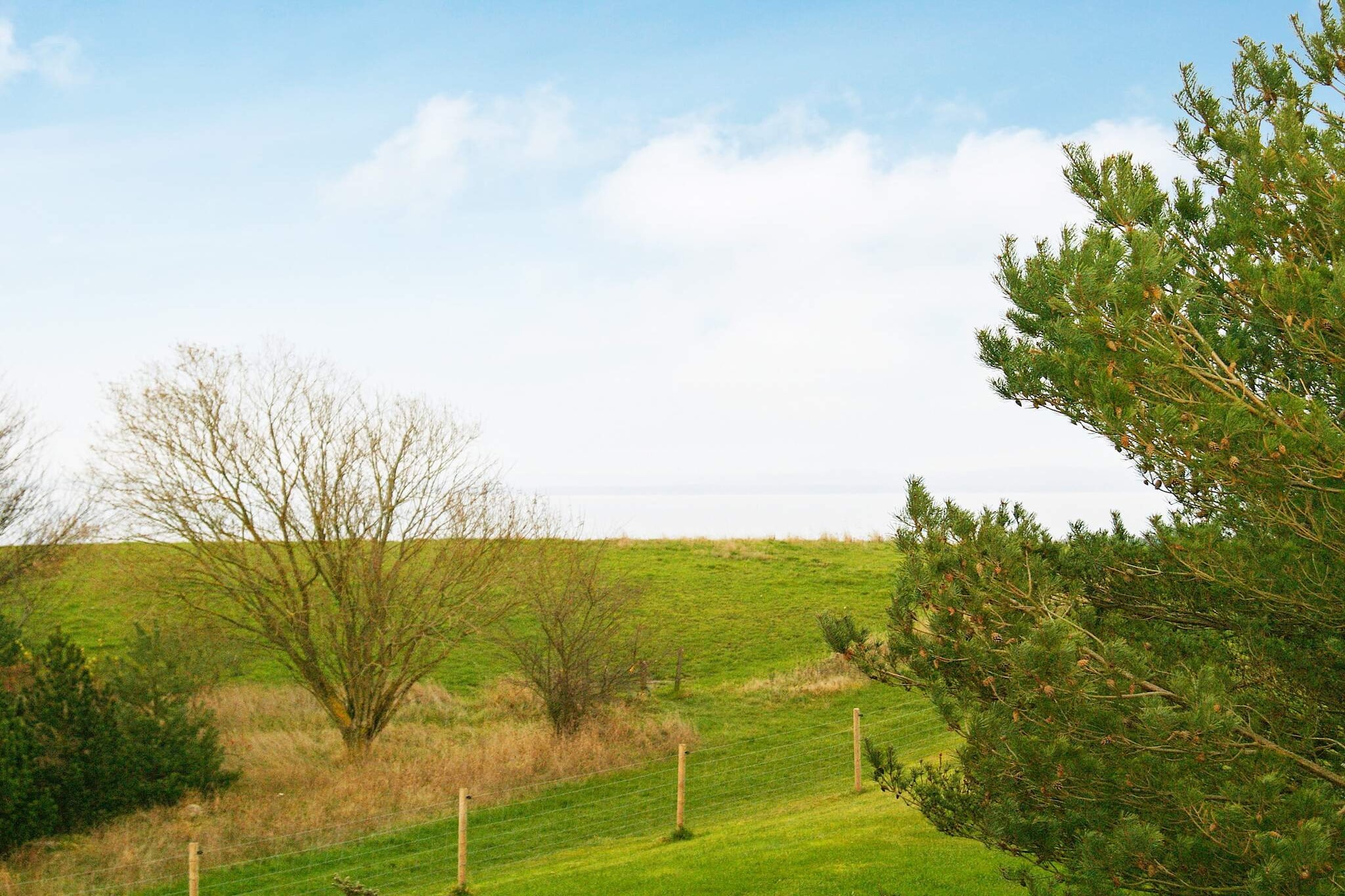 11 persoons vakantie huis in Knebel