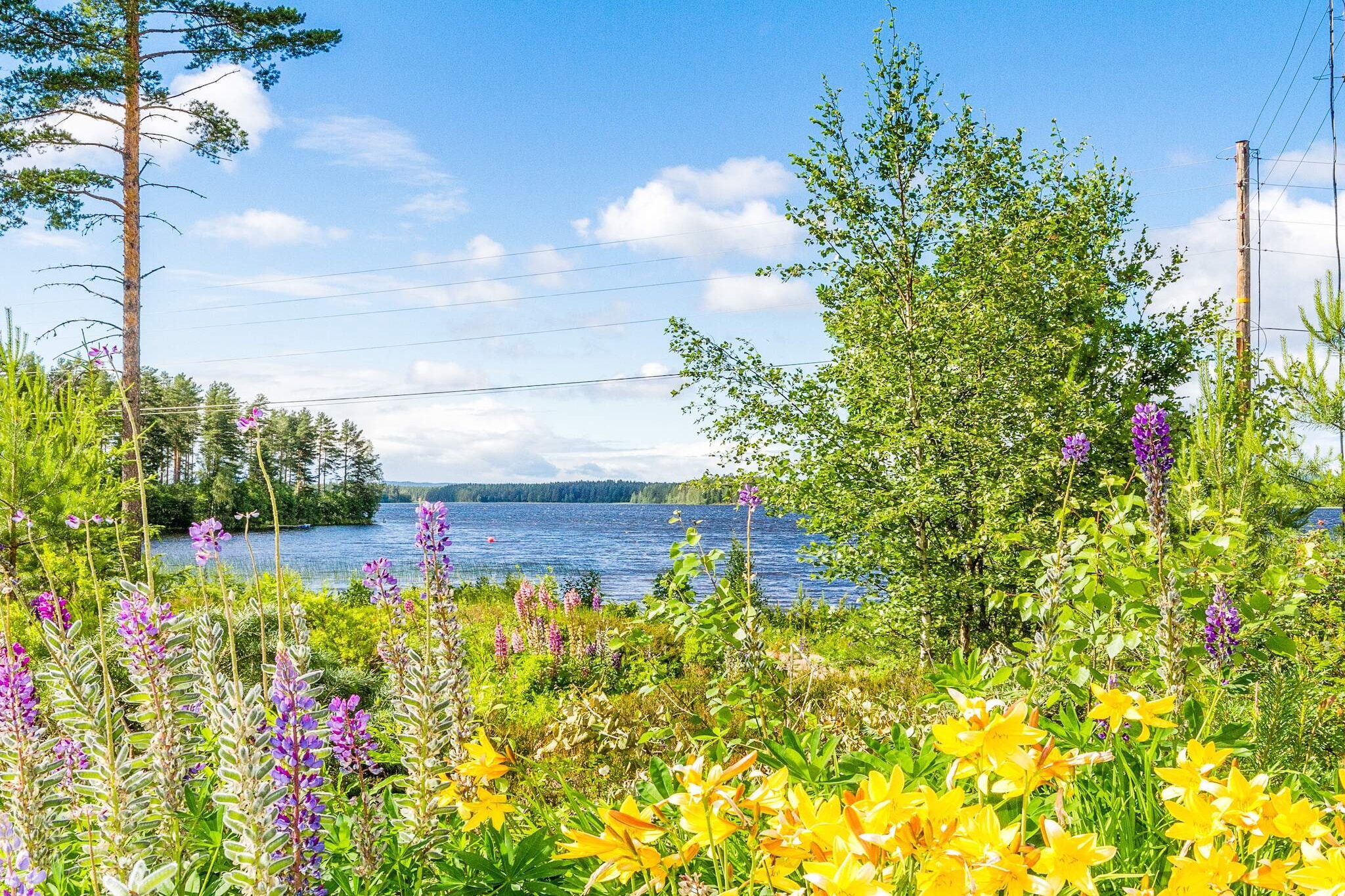 6 persoons vakantie huis in VäTö