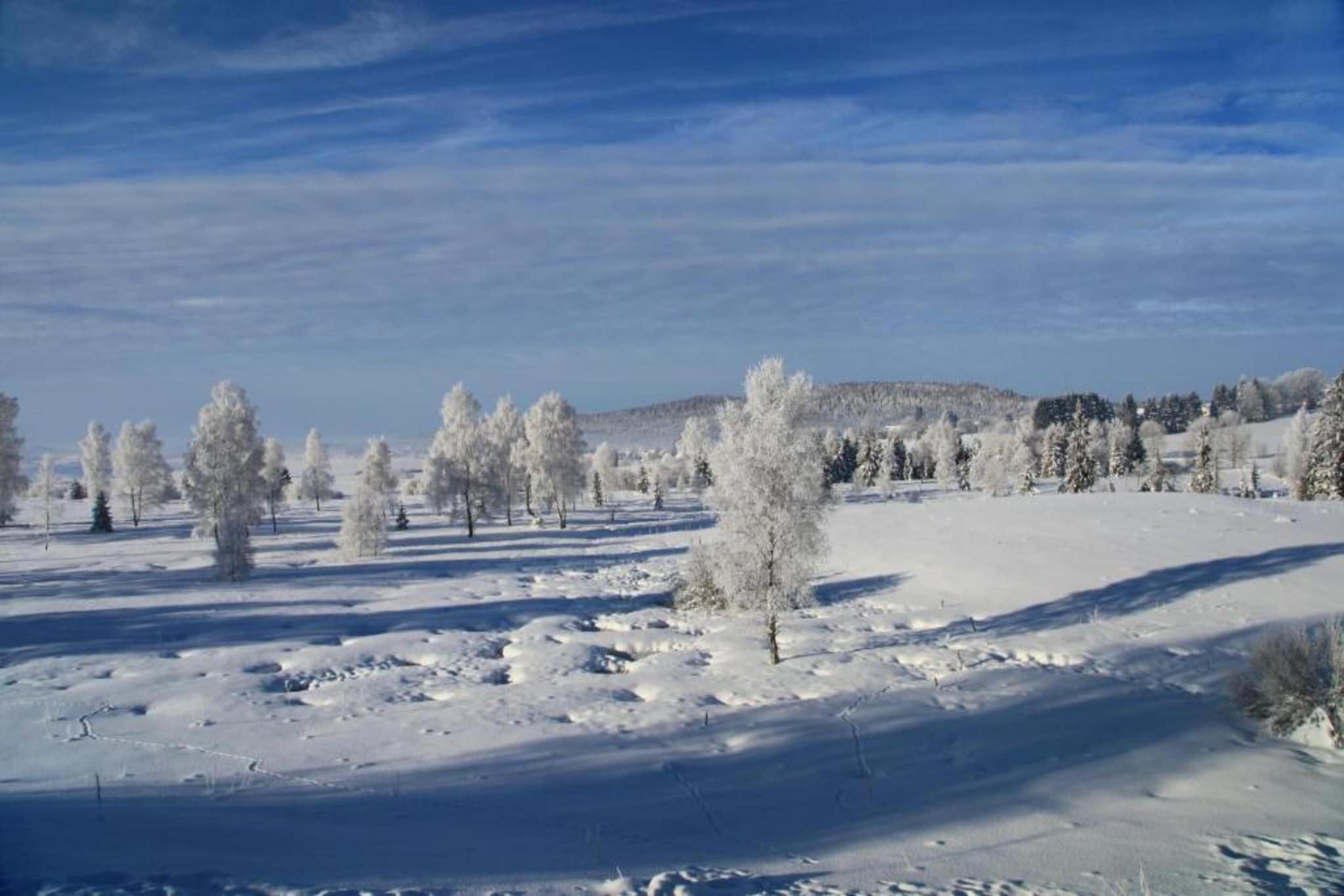 O CHALET-Gebiet Winter 20 km